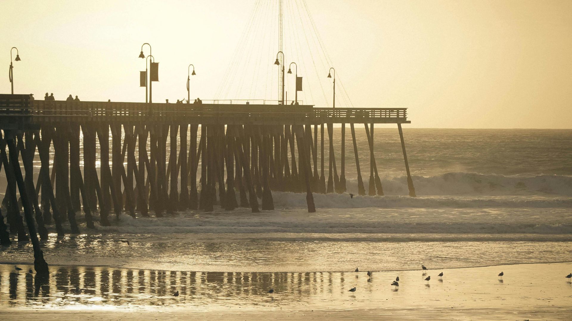 A long pier, identified as the Pismo Beach Pier, extends into the ocean under a warm, golden sky, with waves breaking on the shore where several seagulls are visible on the wet sand.