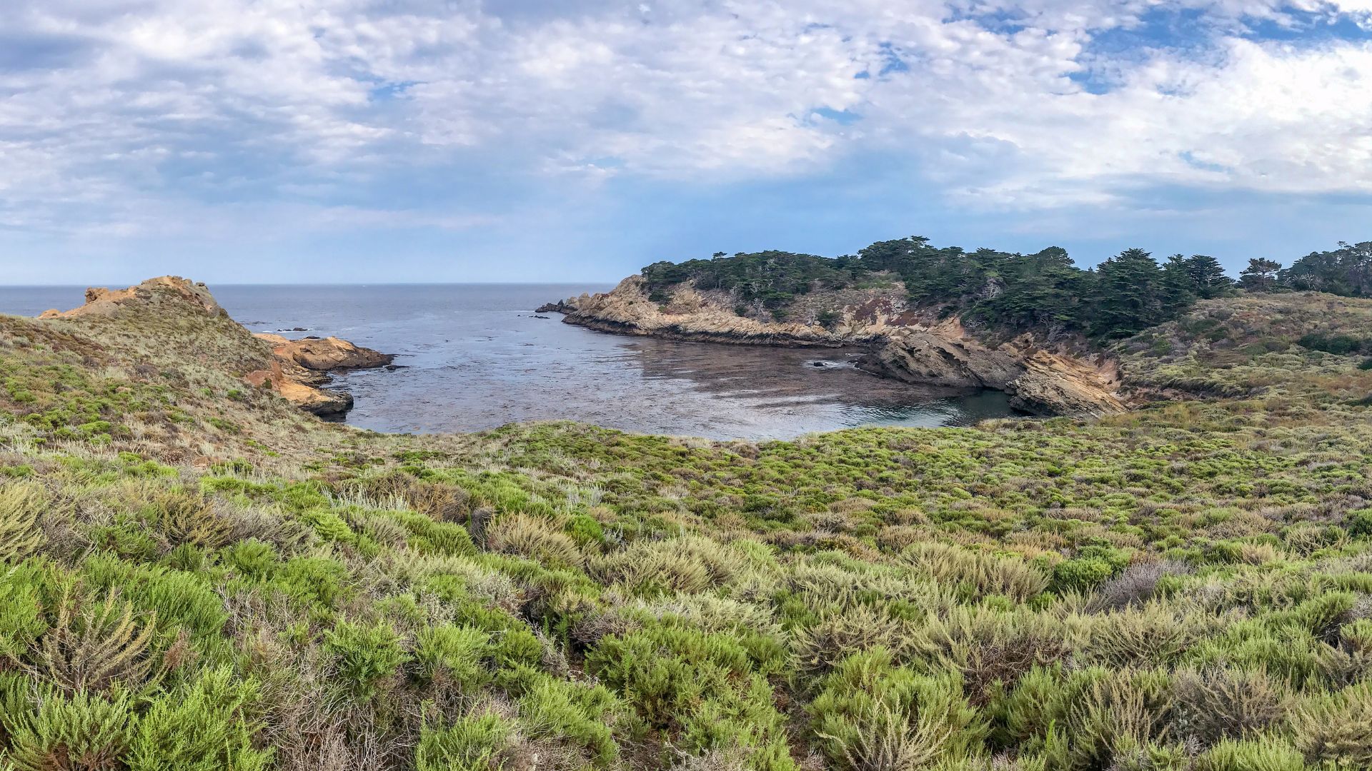 A panoramic view of a rocky coastline at Point Lobos State Natural Reserve in California, featuring a calm cove surrounded by lush green and golden-hued coastal vegetation under a partly cloudy sky.