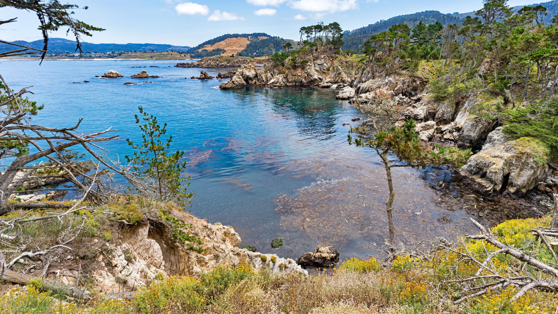 A scenic coastal view of Point Lobos State Natural Reserve in California, featuring clear blue water, rocky coves, green trees, and distant hills under a partly cloudy sky.
