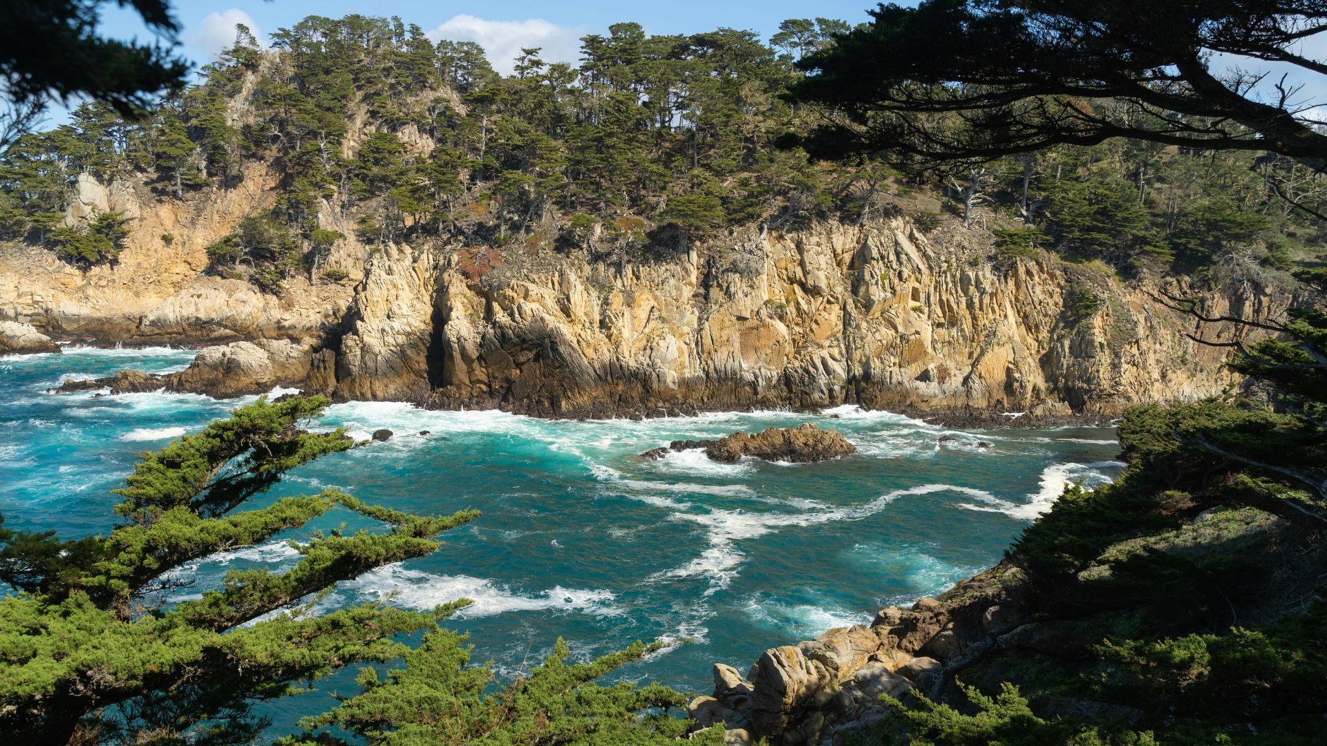 A scenic view of the rugged California coastline at Point Lobos State Natural Reserve, featuring turquoise ocean waters crashing against rocky shores and cliffs covered with dense green Monterey cypress trees under a clear blue sky.