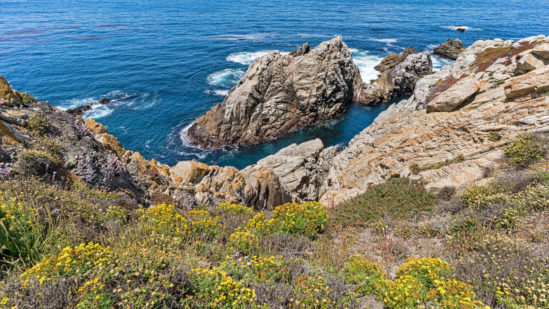 A vibrant coastal landscape showcasing the rugged cliffs and turquoise waters of Point Lobos State Natural Reserve, with rocky outcrops extending into the ocean and a foreground of lush green and yellow-flowering coastal vegetation.