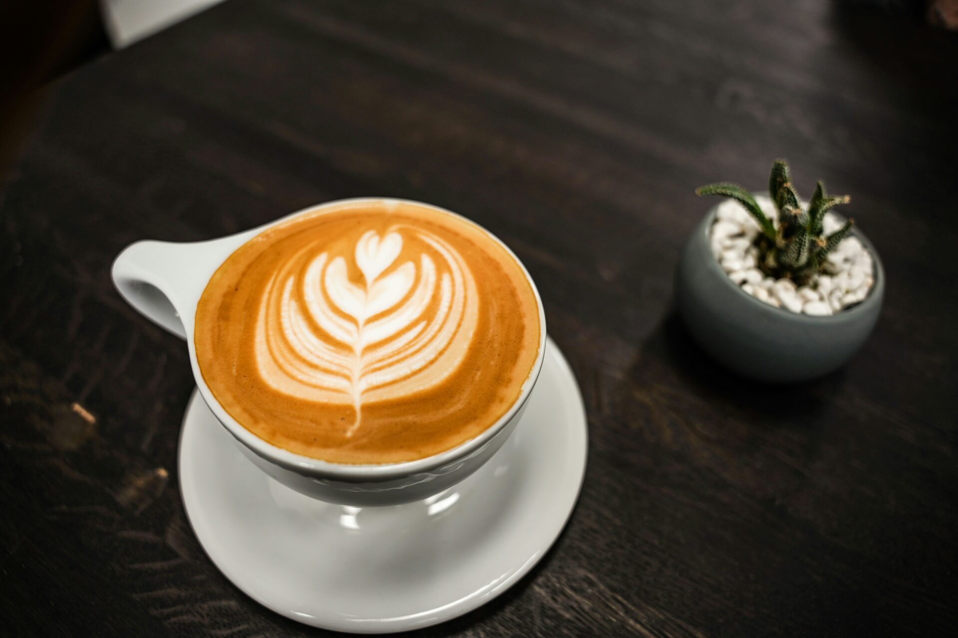 A steaming cup of freshly brewed coffee 