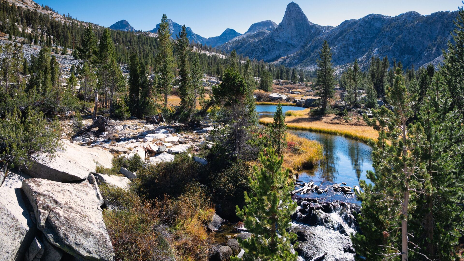 A scenic view of a winding river flowing through a valley surrounded by lush green trees and towering mountains under a clear blue sky, likely within Kings Canyon National Park.