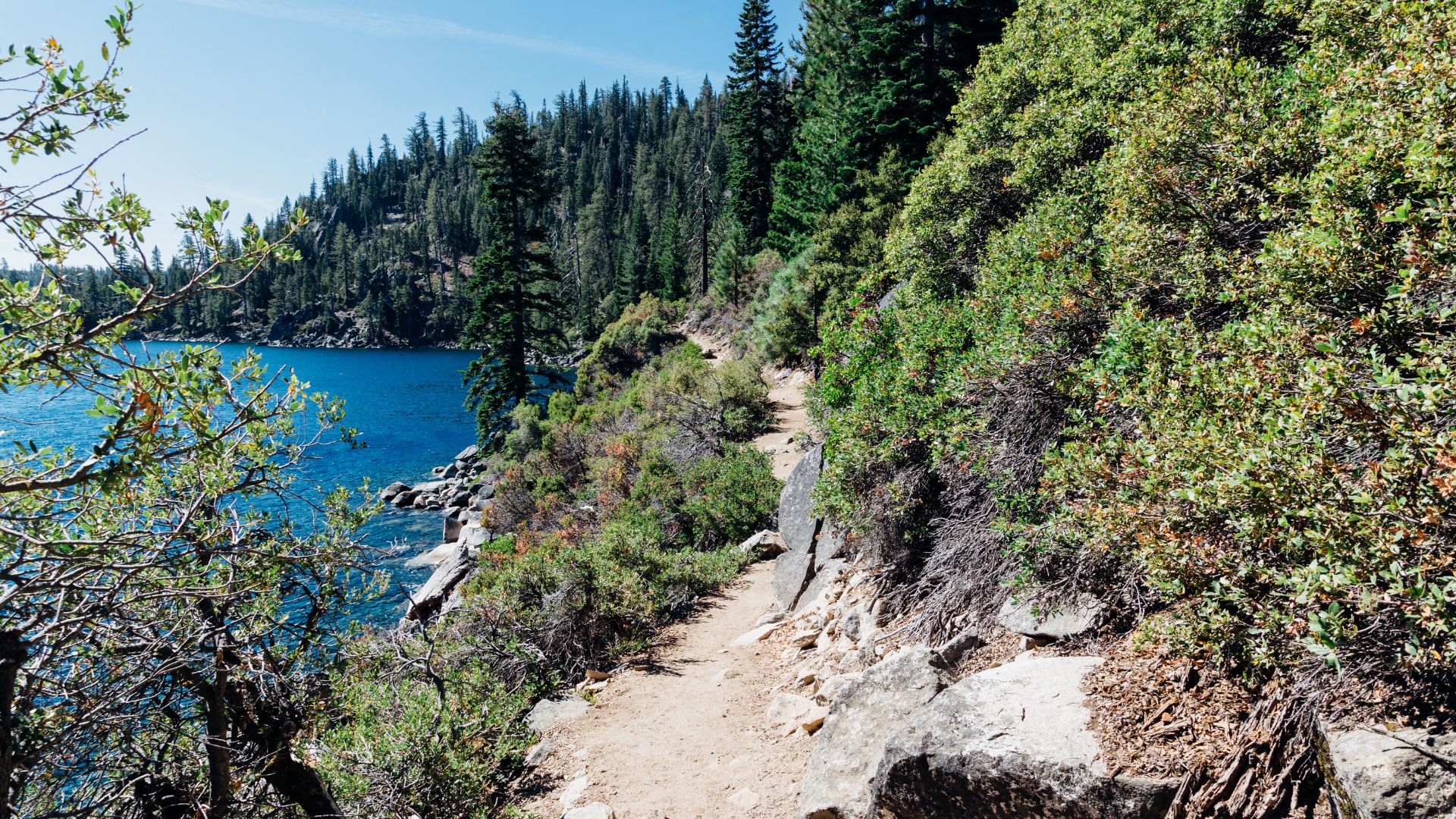 A dirt hiking trail, known as the Rubicon Trail, winds along the rocky, tree-covered shoreline of a clear, blue lake (Lake Tahoe) under a bright blue sky. Lush green bushes and pine trees line the trail and the distant hills.