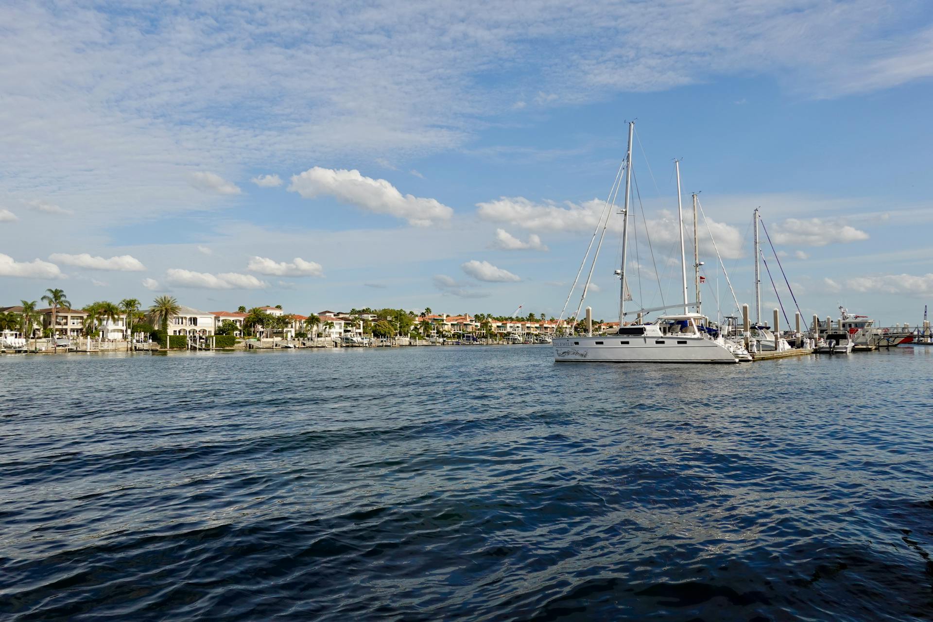 Sailboats gently glide across the calm waters of Tampa Harbor