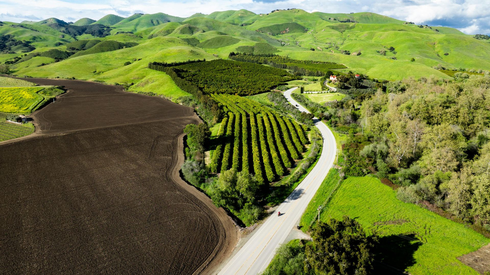 An aerial view of lush green rolling hills, cultivated fields, and a winding road in San Luis Obispo County, California.