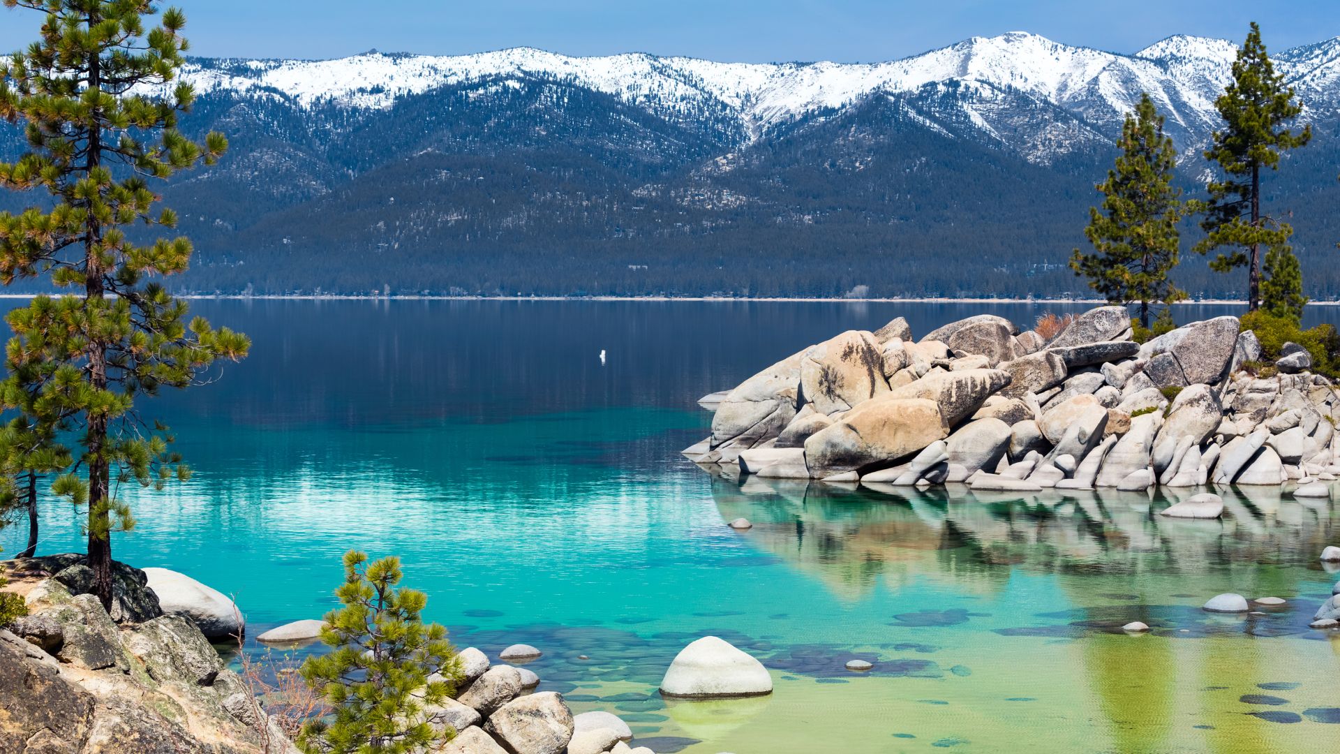 A vibrant image of Sand Harbor at Lake Tahoe, featuring clear turquoise water, large granite boulders along the shore, tall pine trees, and snow-capped mountains under a bright blue sky.