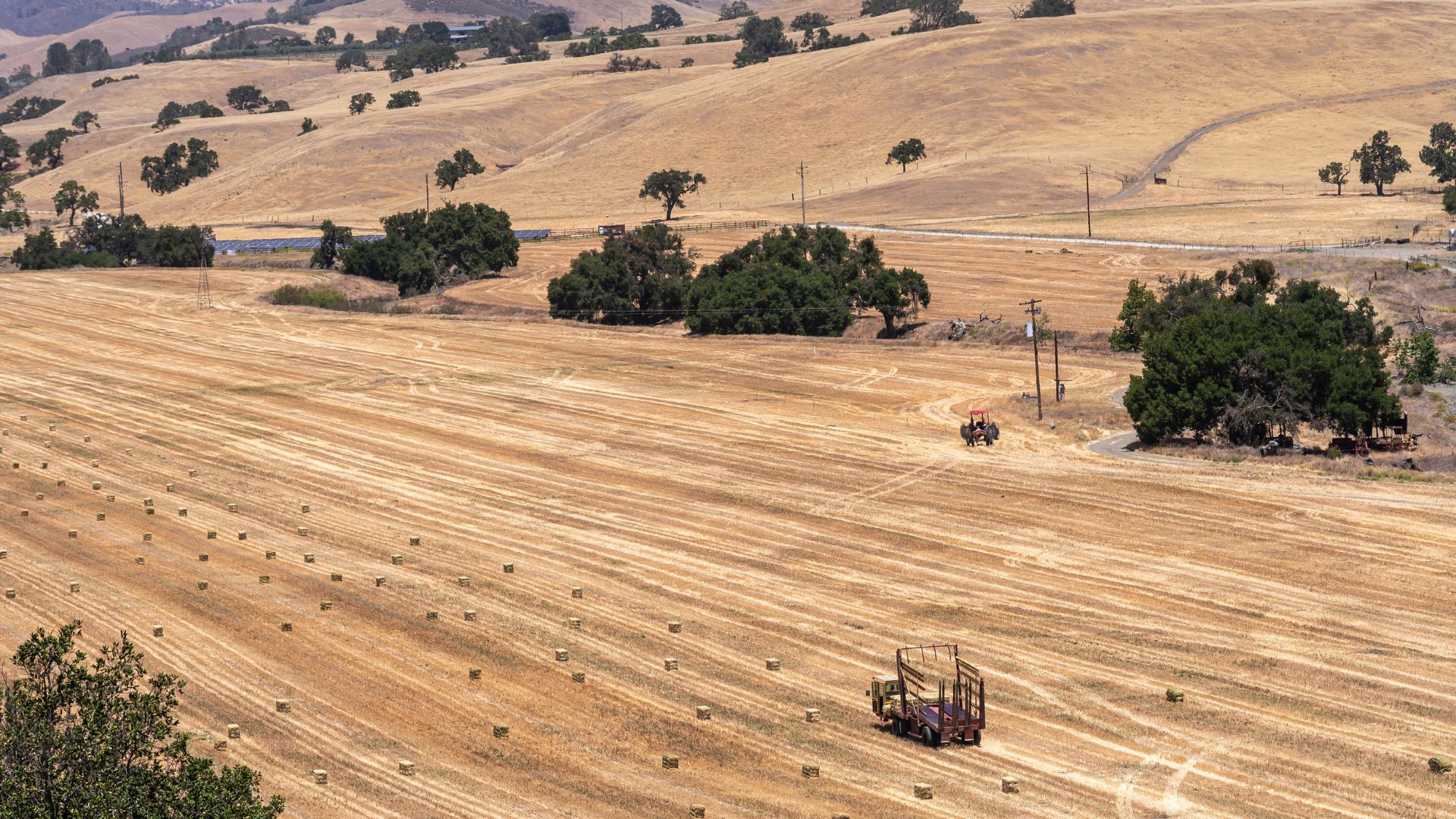A wide shot of a dry, golden field with scattered hay bales and farm equipment, including a tractor and another vehicle, set against a backdrop of rolling hills and oak trees under a bright sky.