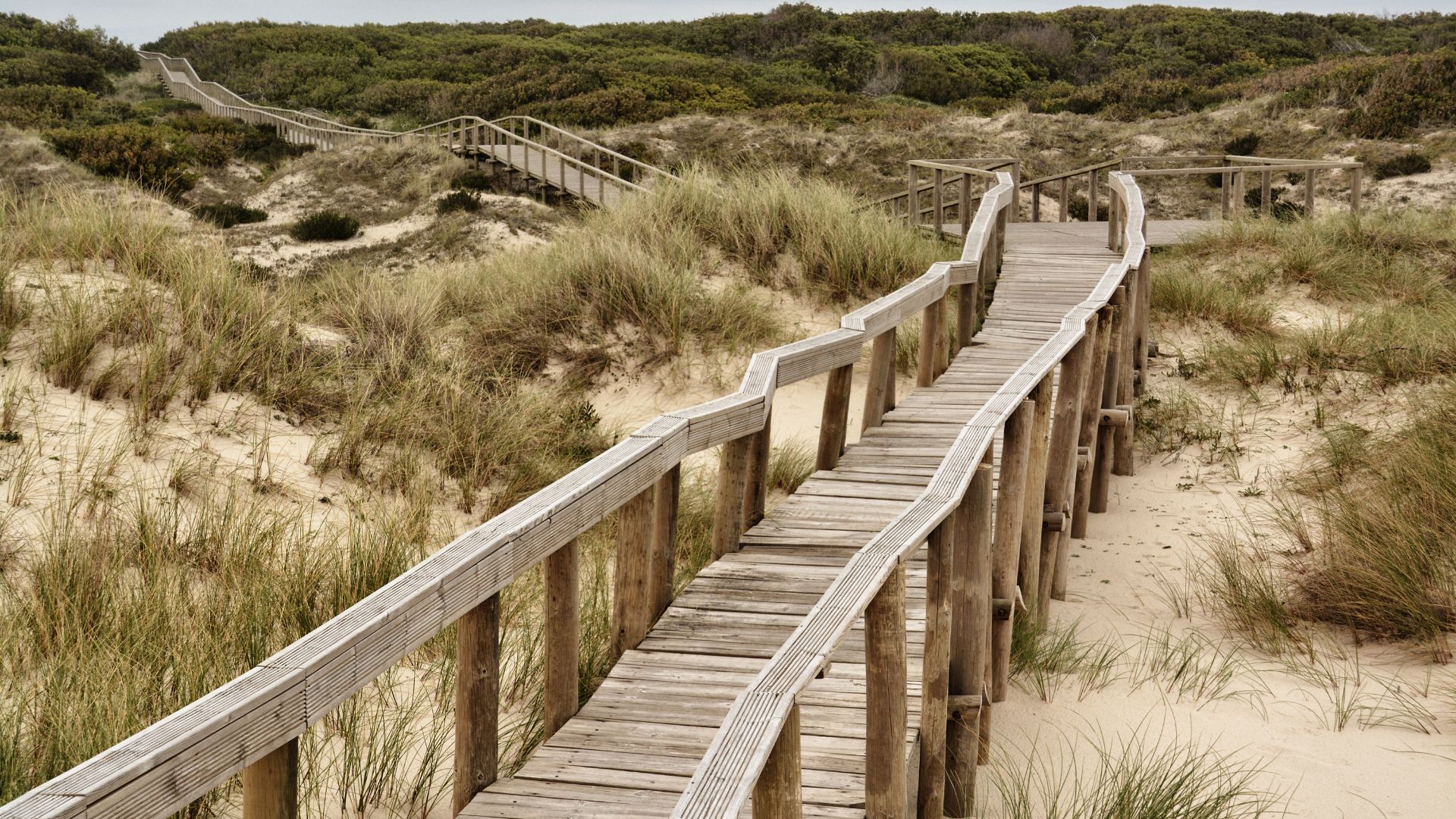 A serene wooden boardwalk winds through the sandy dunes and coastal vegetation of the São Jacinto Dunes Natural Reserve in Central Portugal, leading towards the distant horizon.