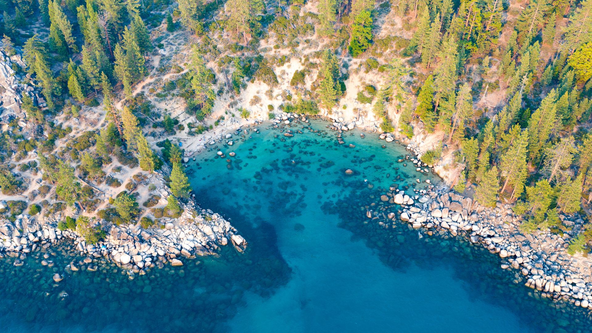 Aerial view of Secret Cove at Lake Tahoe, showcasing clear turquoise water, a rocky shoreline with large boulders, and surrounding hills covered in dense green pine trees.