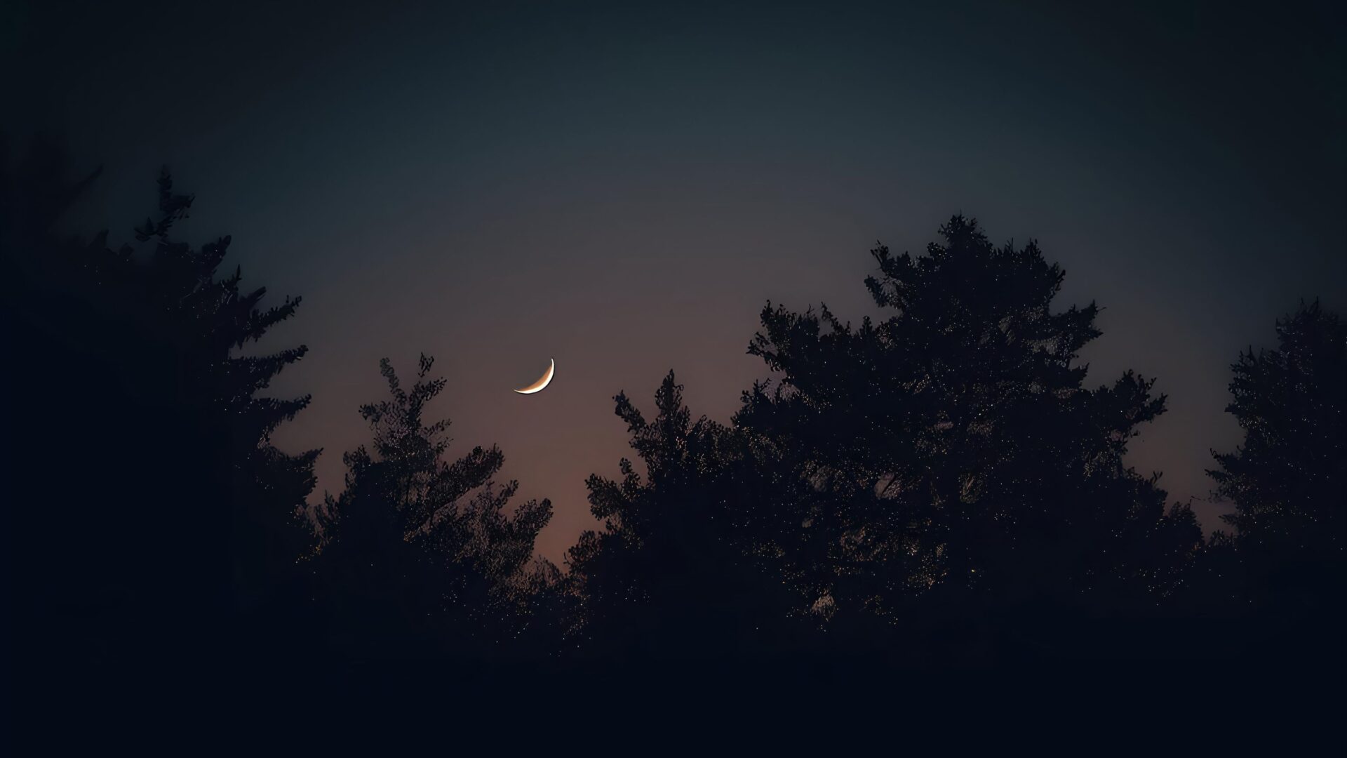 Sequoia National Park, California