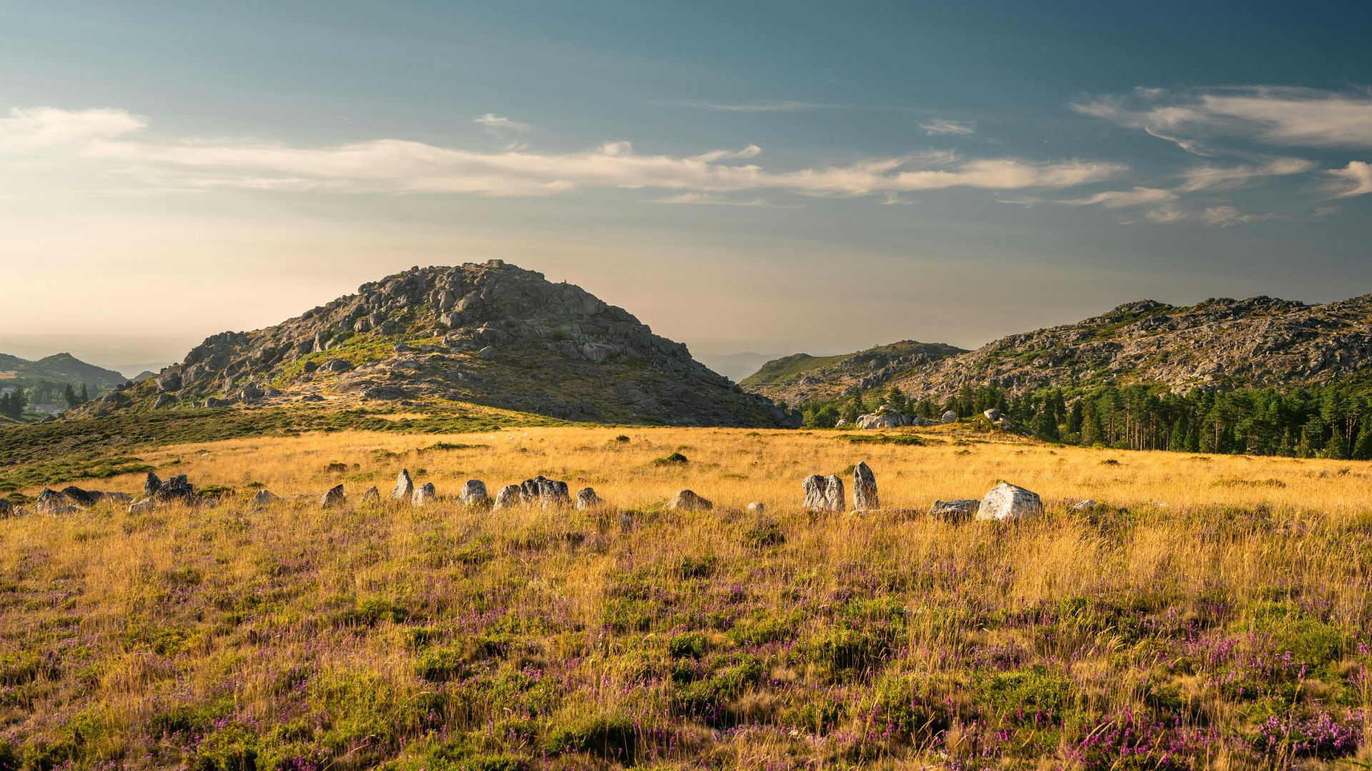 A panoramic view of the rugged, golden-hued landscape of Serra da Estrela Natural Park in Central Portugal, featuring scattered granite boulders, rolling hills, and distant mountains under a bright sky.