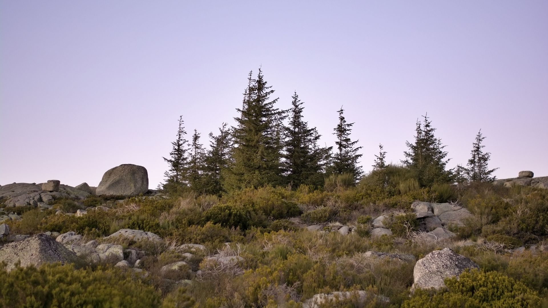 A serene landscape in the Serra da Estrela, Portugal, featuring scattered pine trees and large granite boulders under a soft, twilight sky.
