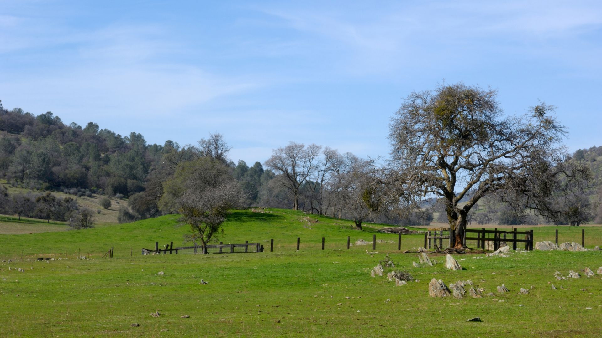 A wide-angle landscape shot captures the rolling, green hills of Round Valley Regional Preserve in California under a clear blue sky. In the foreground, a barbed-wire fence stretches across a grassy field, with scattered rocks and trees dotting the hillsides in the midground and background. The distant hills are hazy, suggesting depth and expanse.