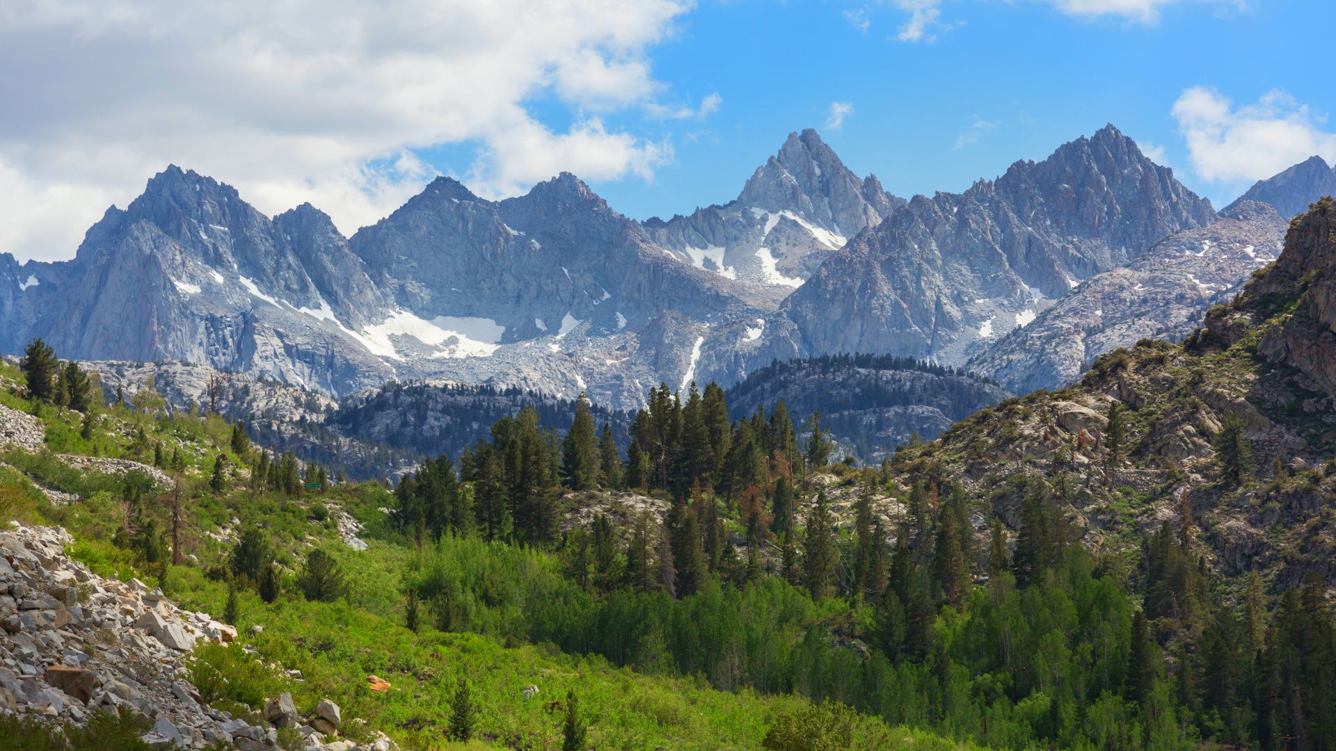 A panoramic view of the Sierra Nevada mountain range, featuring snow-capped peaks in the background under a blue sky with scattered clouds, and a lush green valley with evergreen trees and vibrant foliage in the foreground, indicating a transition from alpine to forested terrain. 