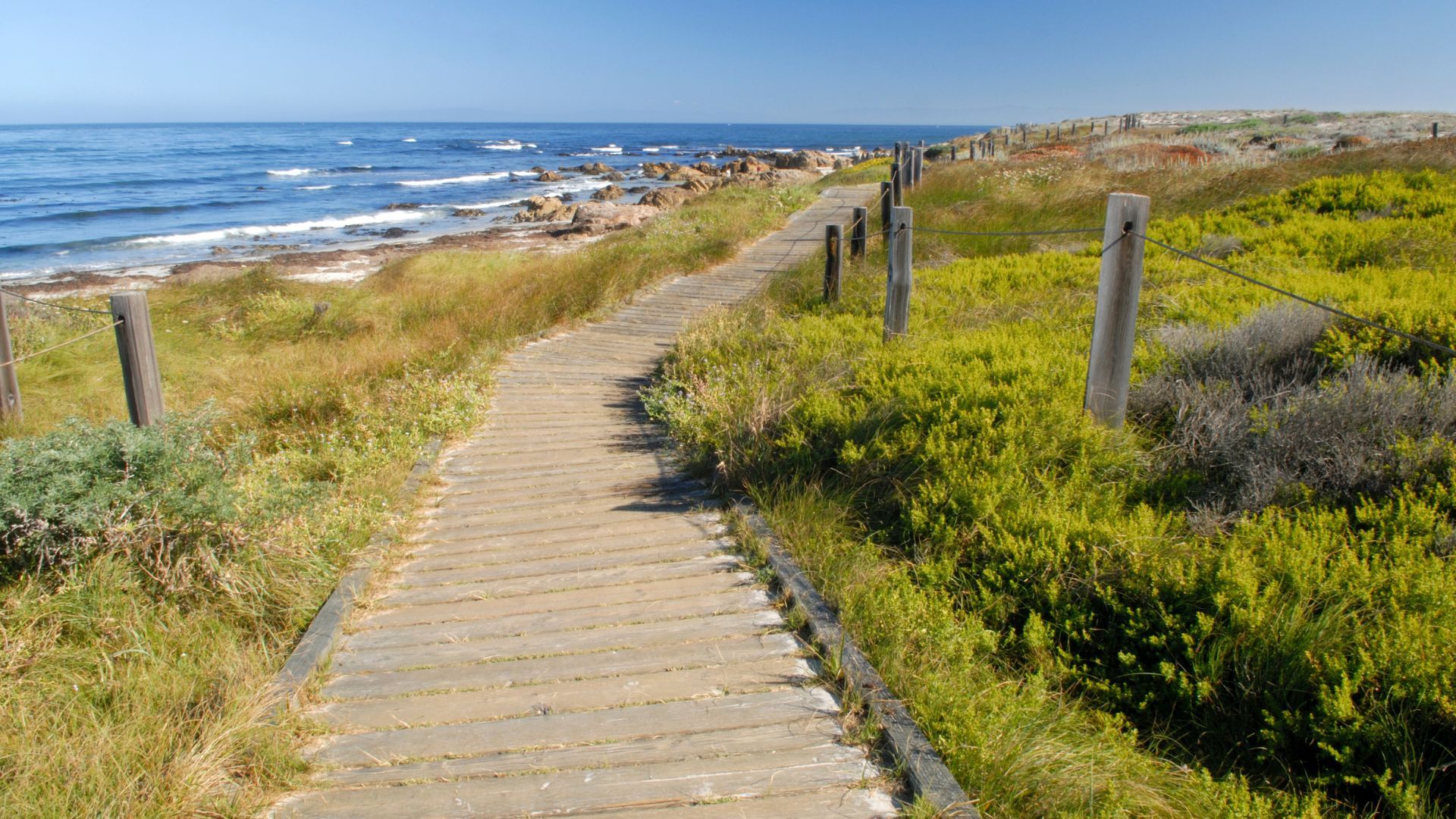 A wooden boardwalk path extends towards the ocean, flanked by vibrant green coastal vegetation and sand dunes, under a clear blue sky.