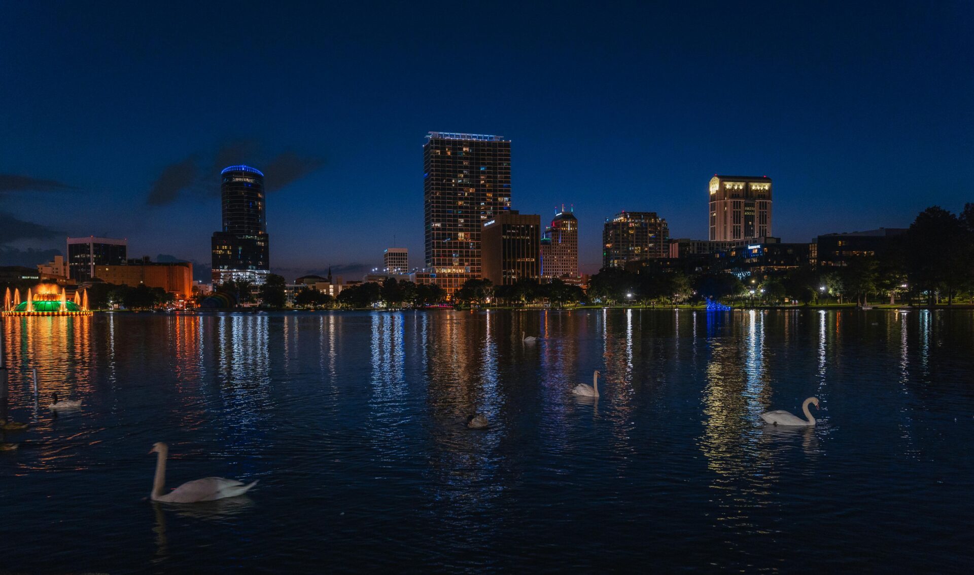 Swans gliding across the calm waters of Lake Eola at night