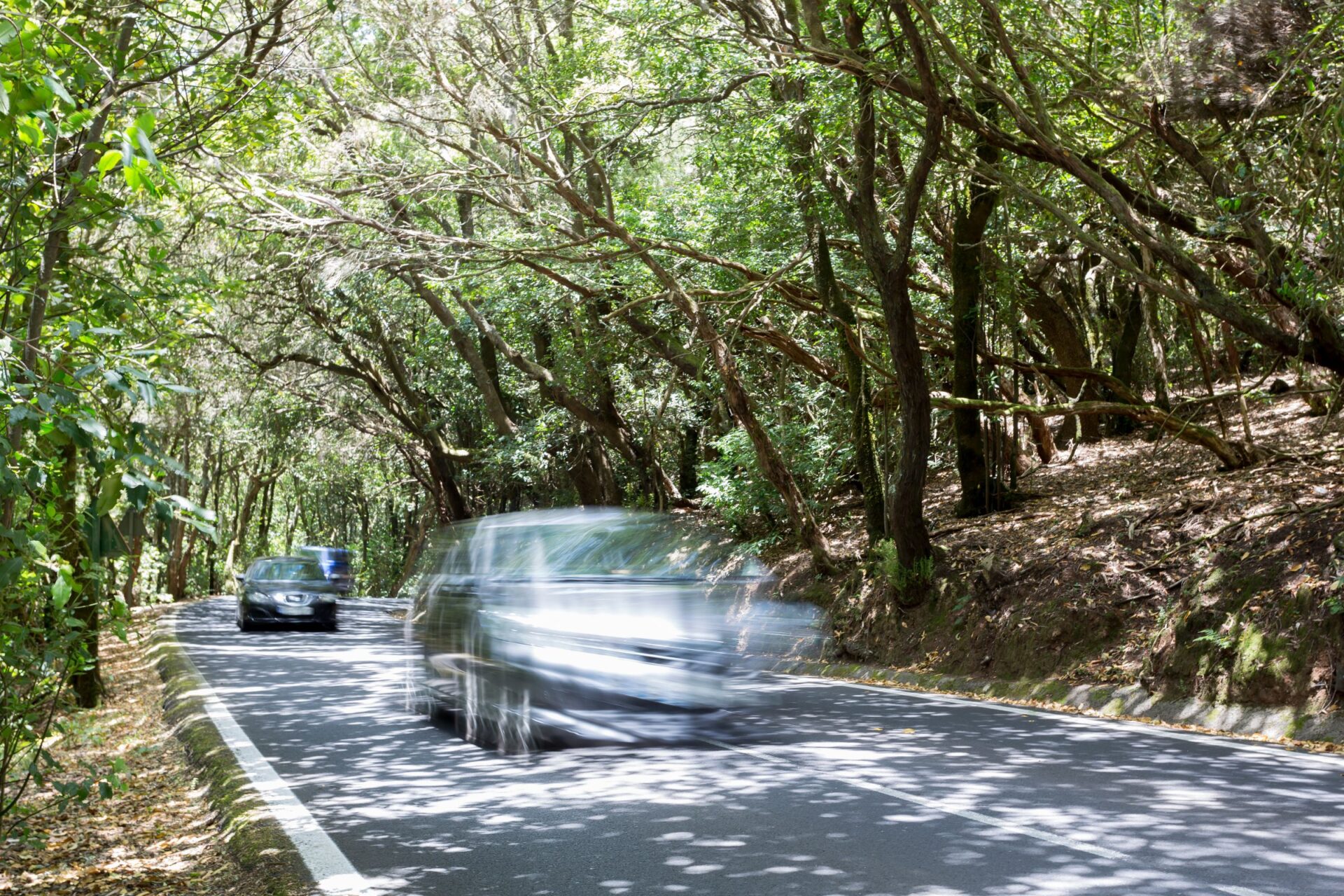 Tenerife’s Anaga Rural Park