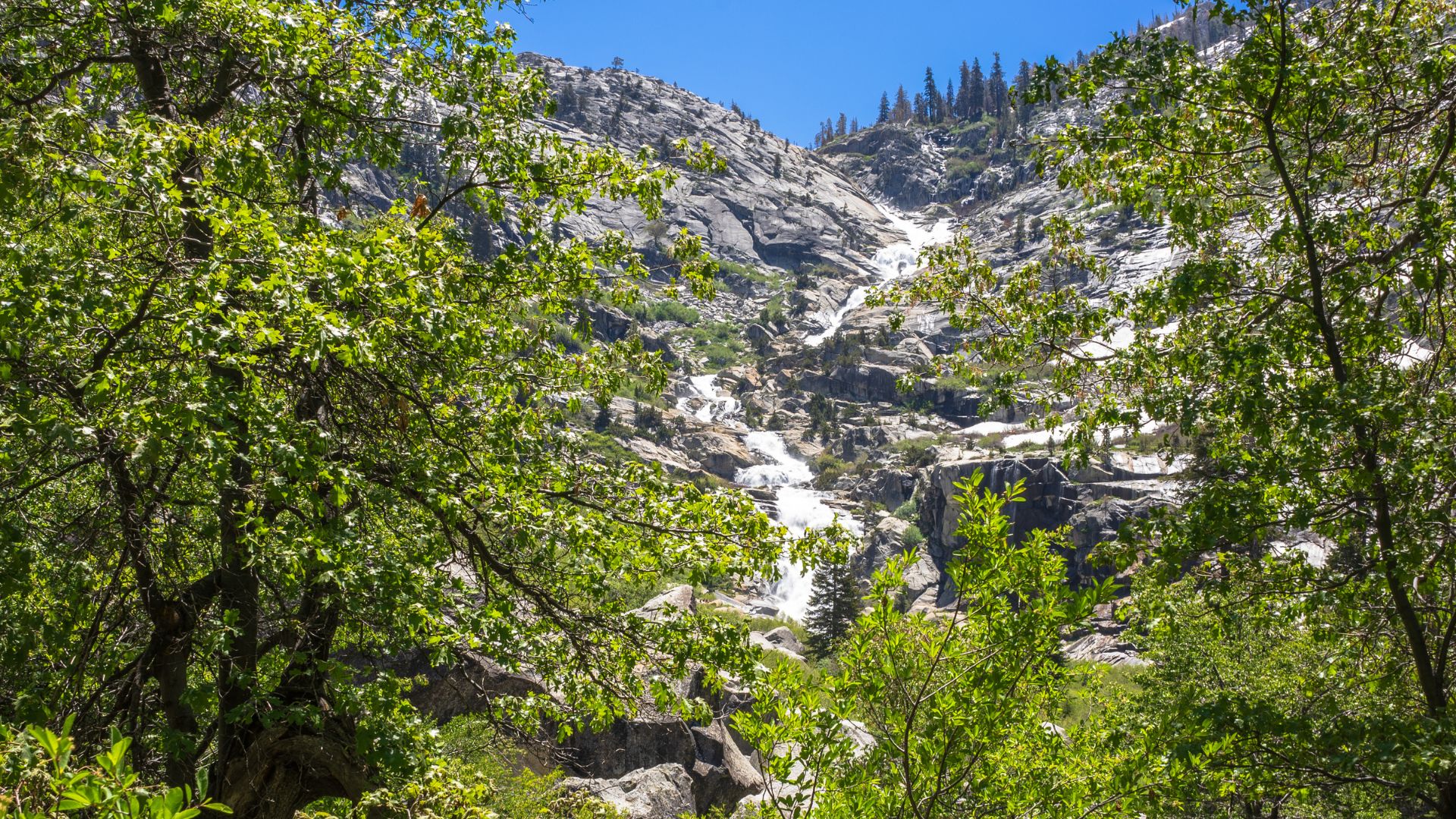A large cascading waterfall flows down a rocky mountain face, framed by vibrant green trees in the foreground under a clear blue sky.