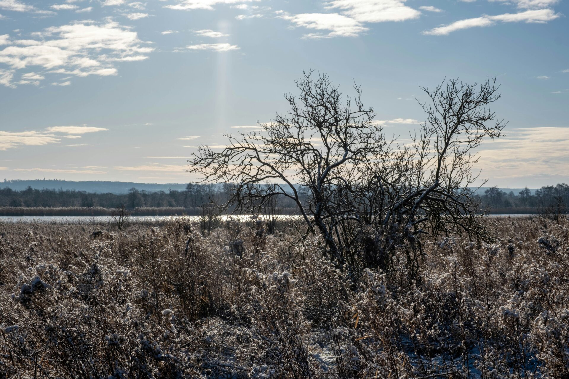 Tranquil morning mist rising from the Oder River