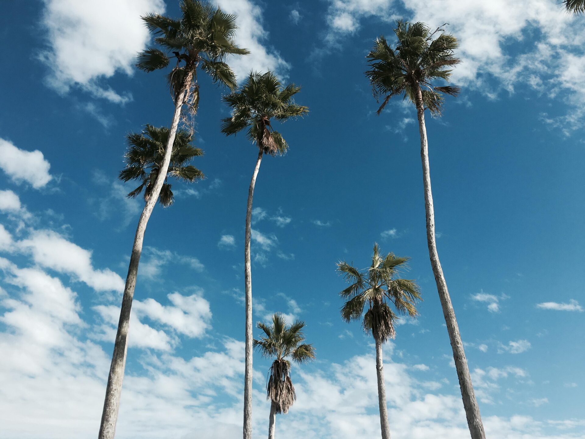 Sunny sky over Tampa