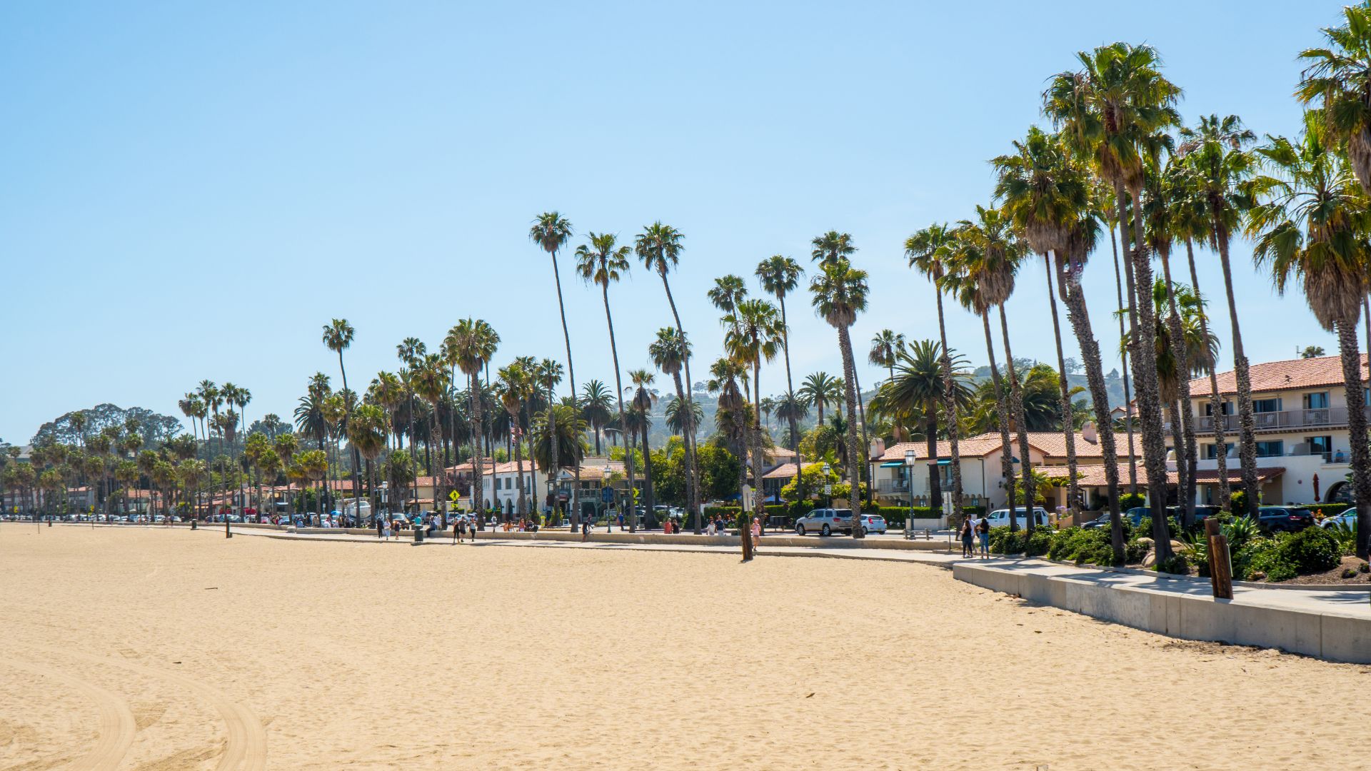 A wide, sandy beach in Santa Barbara, California, lined with numerous tall palm trees and buildings under a clear blue sky, with a paved walkway visible along the shoreline.