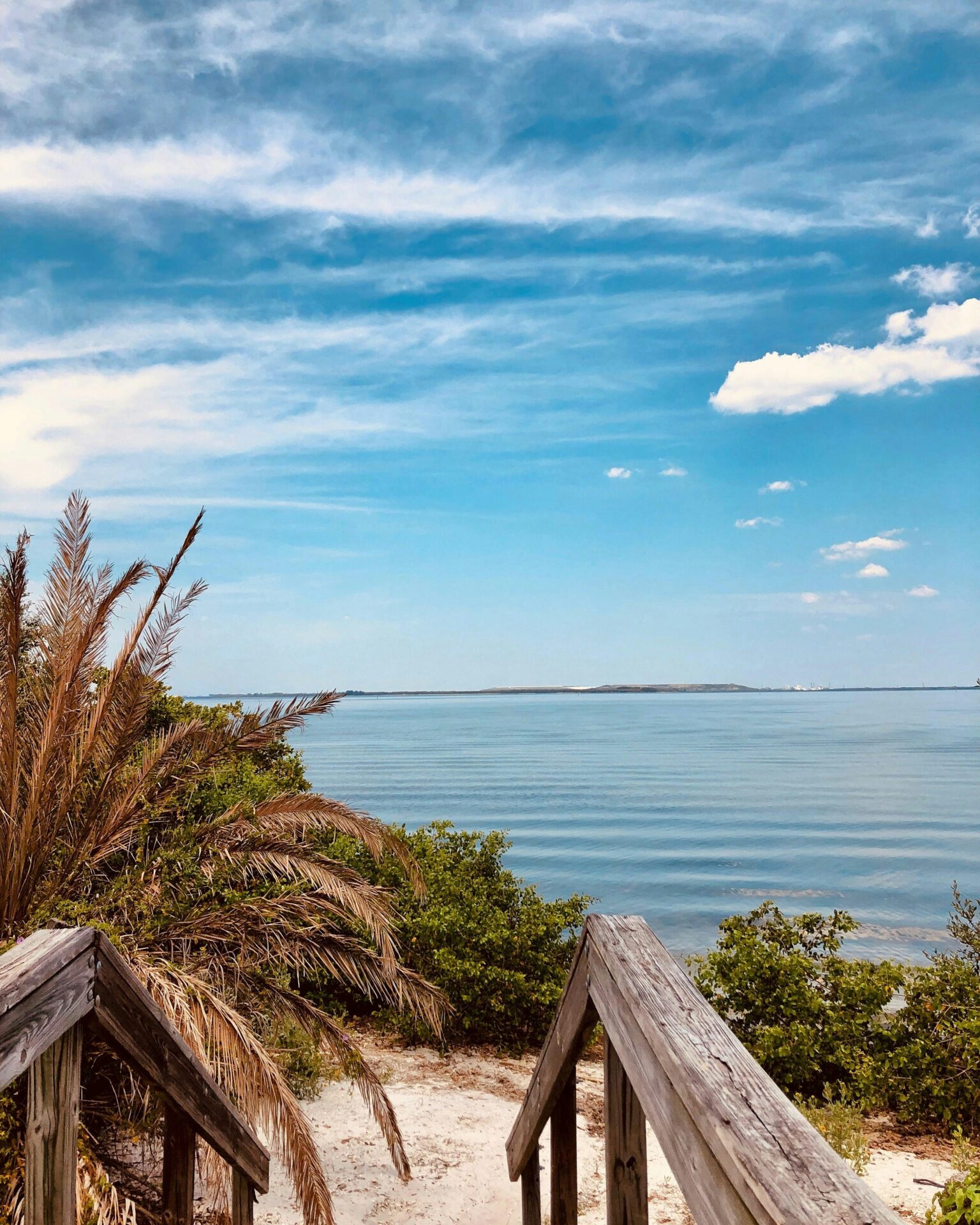 Wooden Dock near Tampa Beach