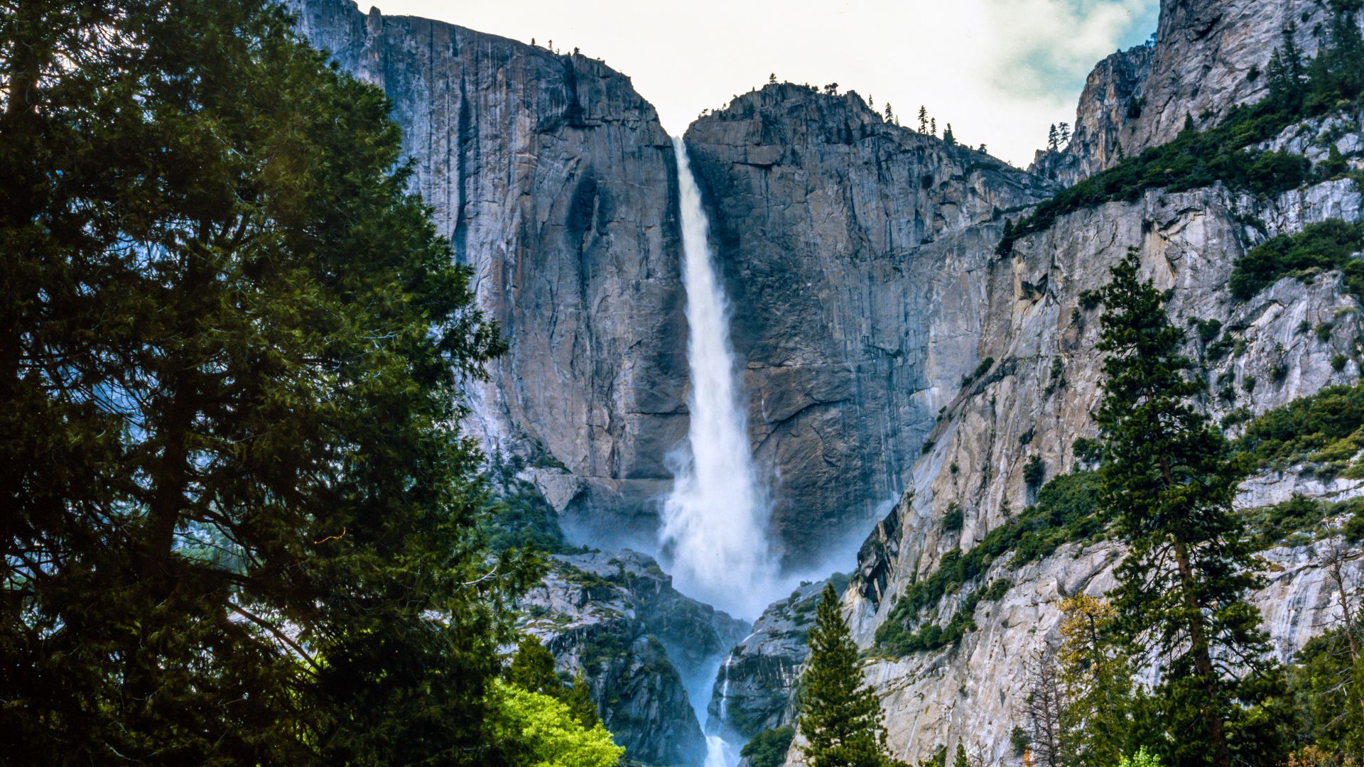 A majestic waterfall cascades down a sheer granite cliff face in Yosemite National Park, surrounded by lush green pine trees and a clear sky. 