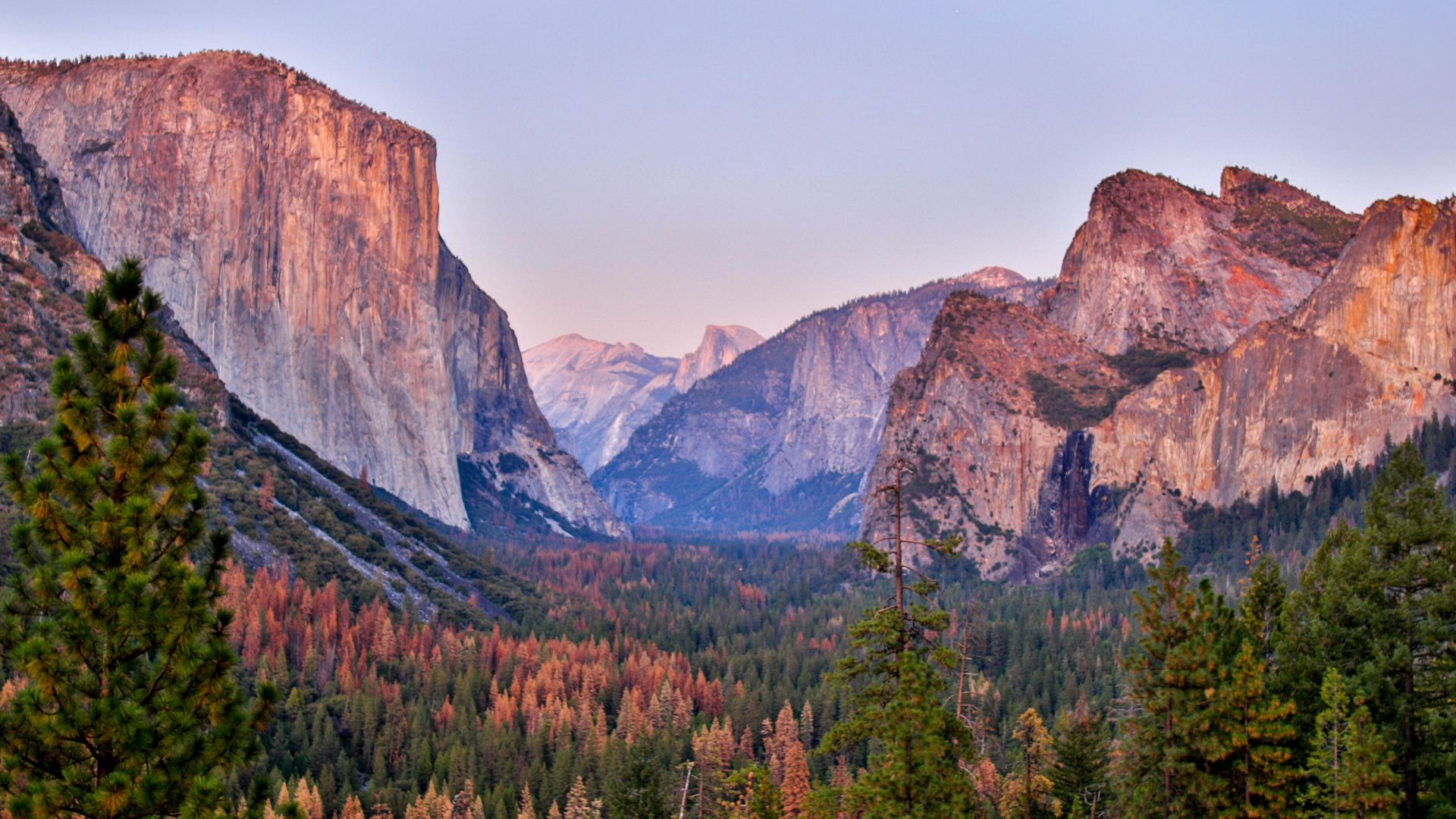 A wide shot of Yosemite Valley in Yosemite National Park at dusk, showcasing the immense granite cliffs, including El Capitan on the left, and a vast forest of pine trees filling the valley floor, with distant mountains under a clear sky. 
