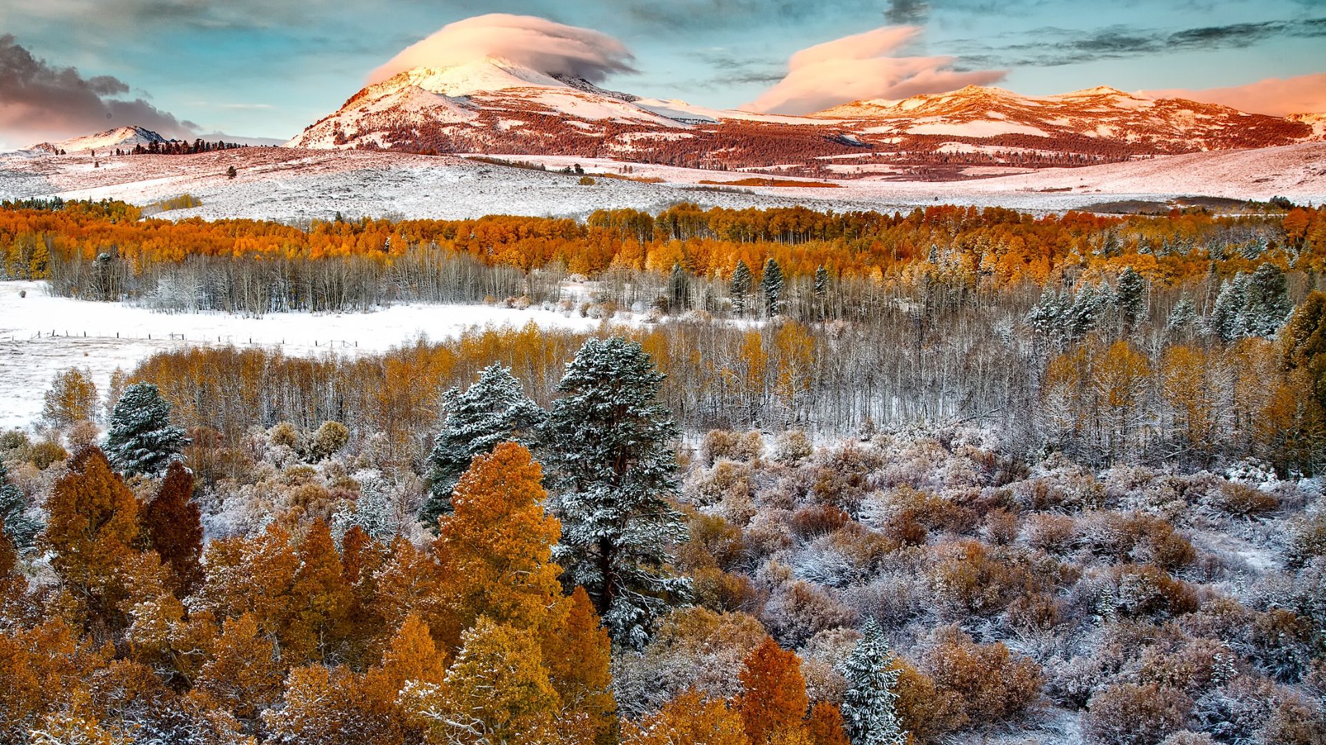 A vibrant landscape featuring snow-dusted mountains in the background, with a foreground of trees displaying a mix of autumnal orange and green foliage, some also lightly covered in snow.