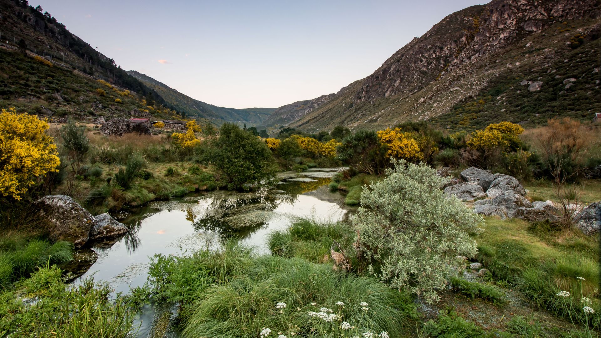 This image captures the serene beauty of the Zêzere Glacier Valley within Portugal's Serra da Estrela Natural Park, showcasing a tranquil stream winding through a verdant landscape framed by the majestic mountain range.