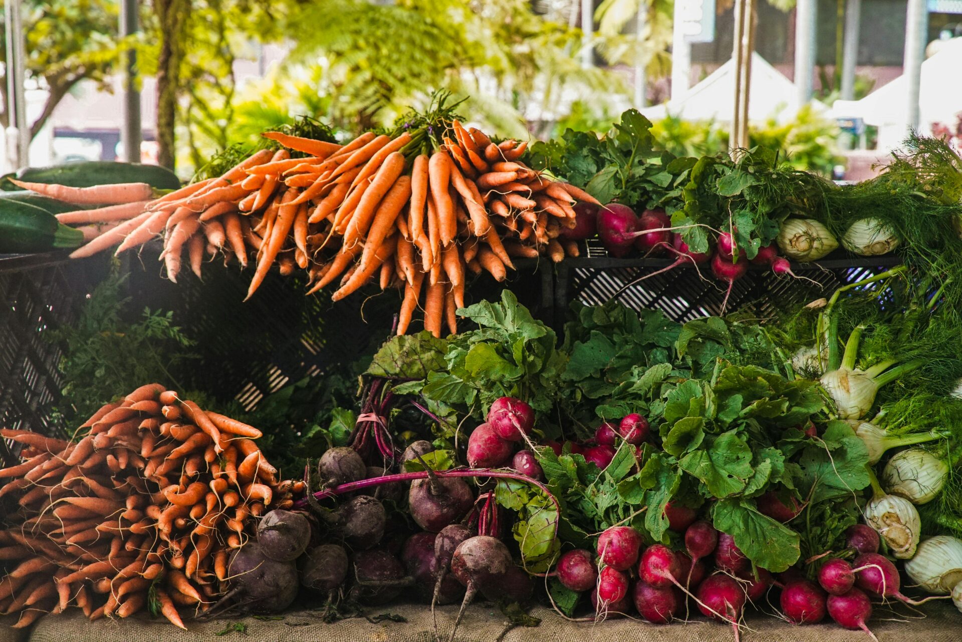Colorful display of fresh vegetables at a farmers market