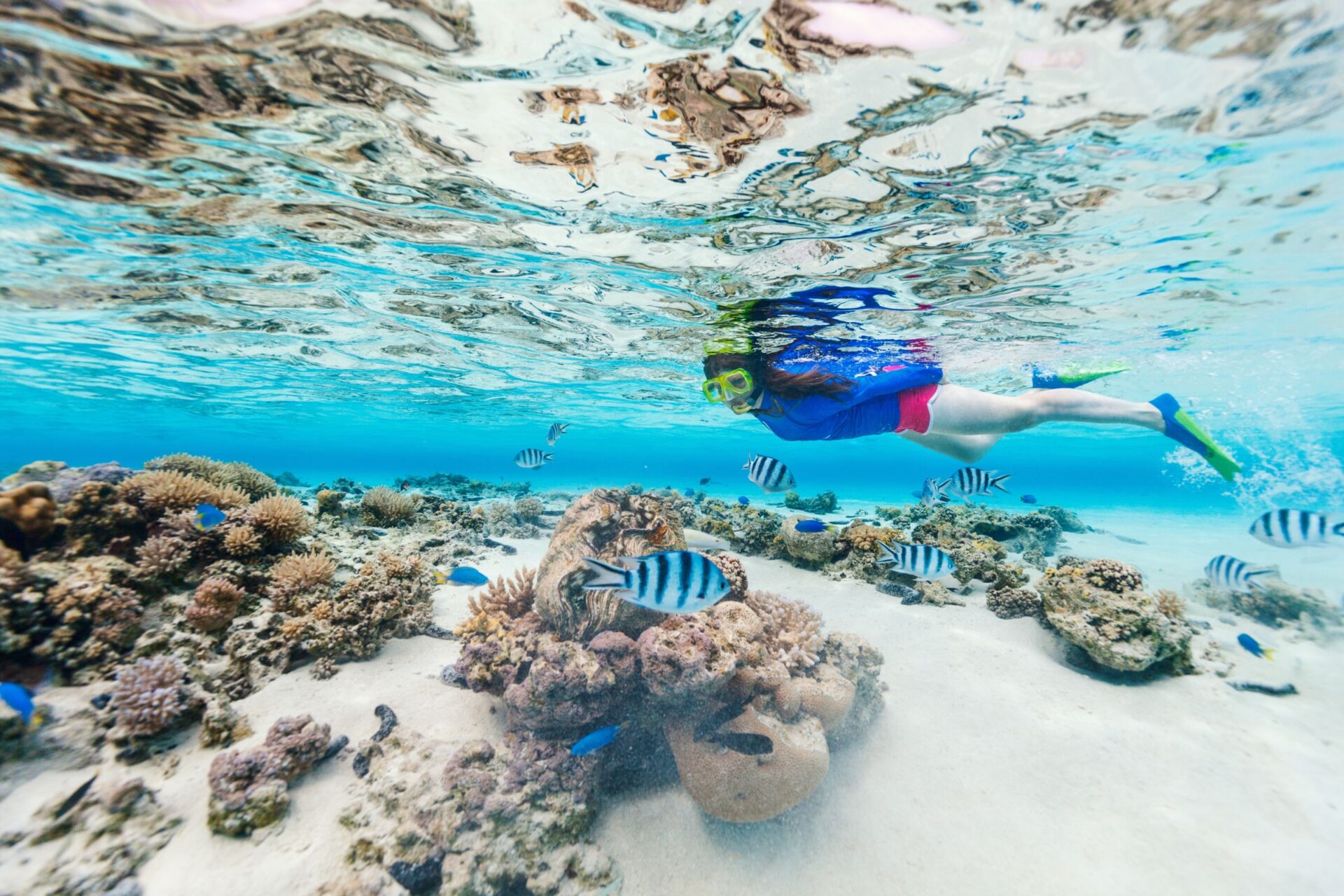 snorkeling woman 