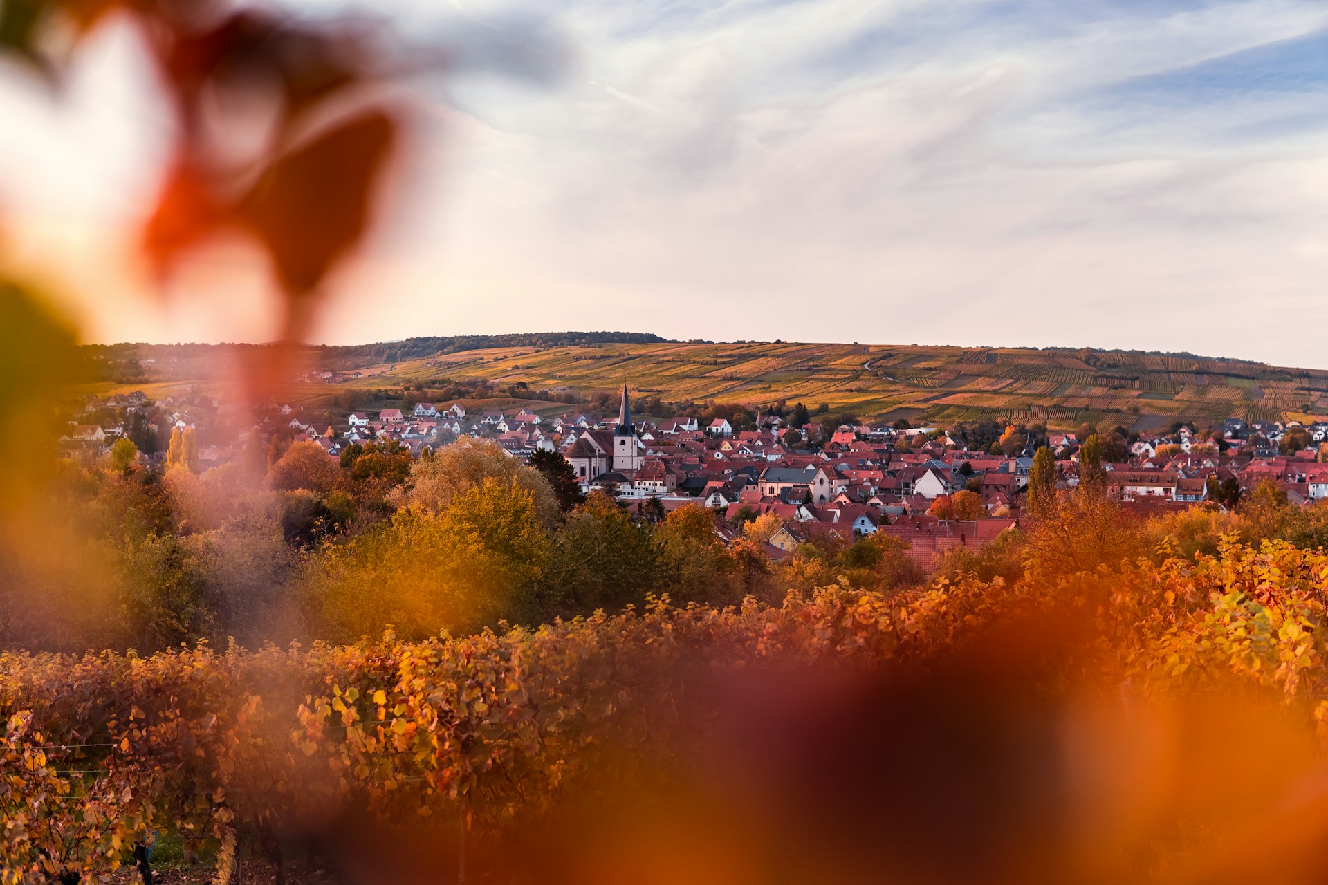 Traditional half-timbered houses in an Alsatian village surrounded by autumn trees