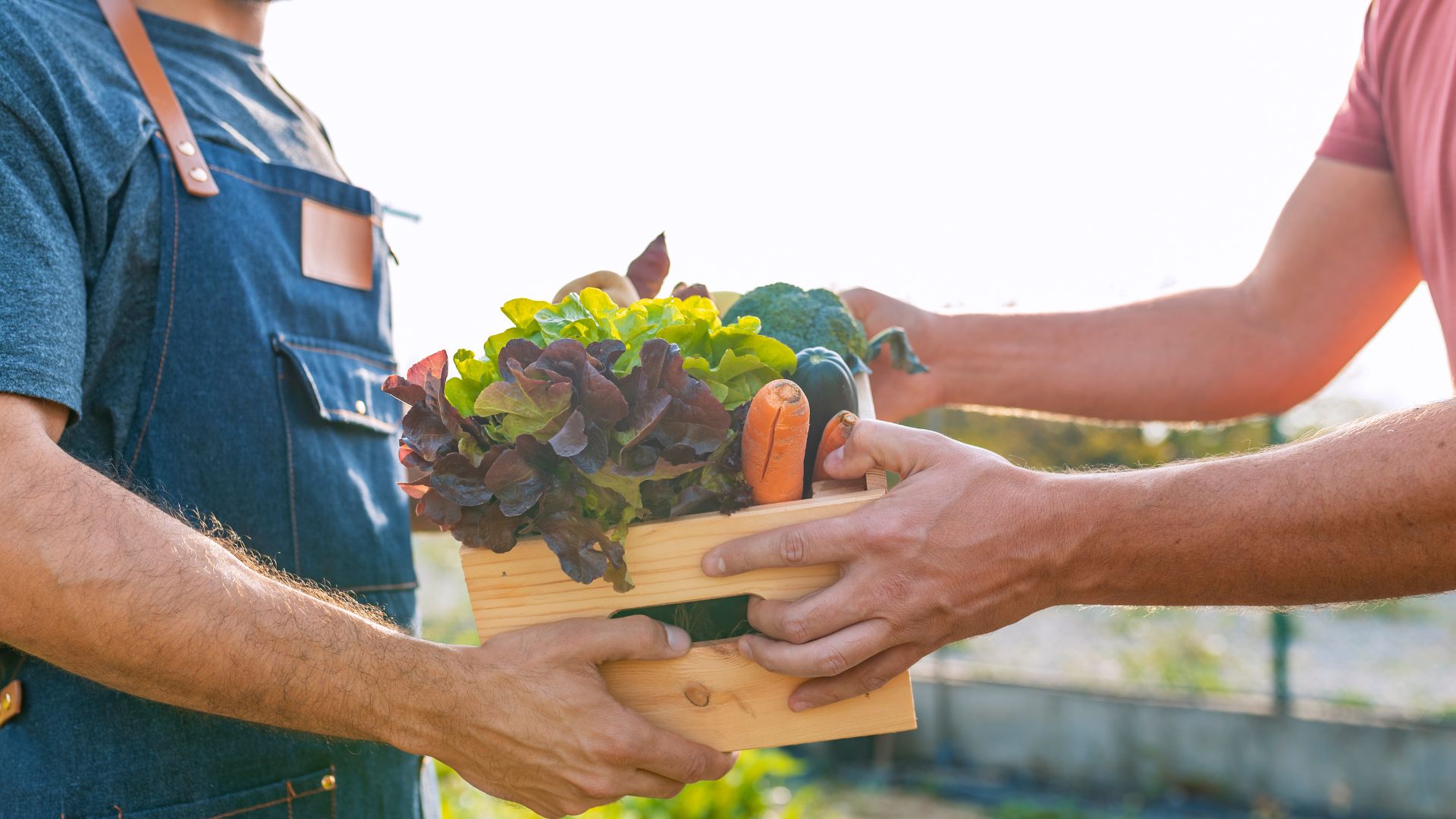 Two individuals are exchanging a wooden crate filled with fresh vegetables, including lettuce, carrots, and broccoli, suggesting a transaction at a farmers' market or a direct farm-to-consumer exchange.