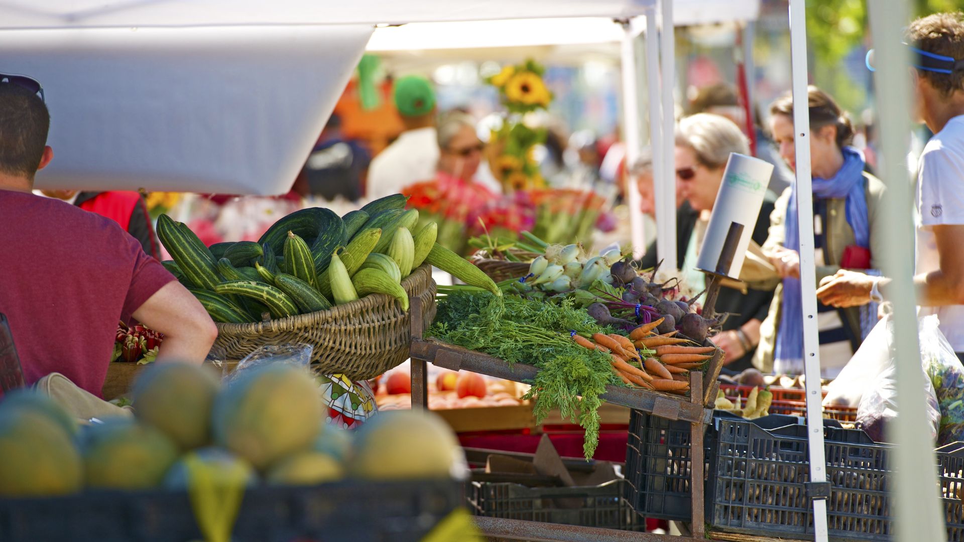  A vibrant outdoor farmers market scene, featuring a variety of fresh produce like cucumbers, carrots, and melons displayed in baskets and on stalls, with shoppers browsing in the background under bright sunlight.