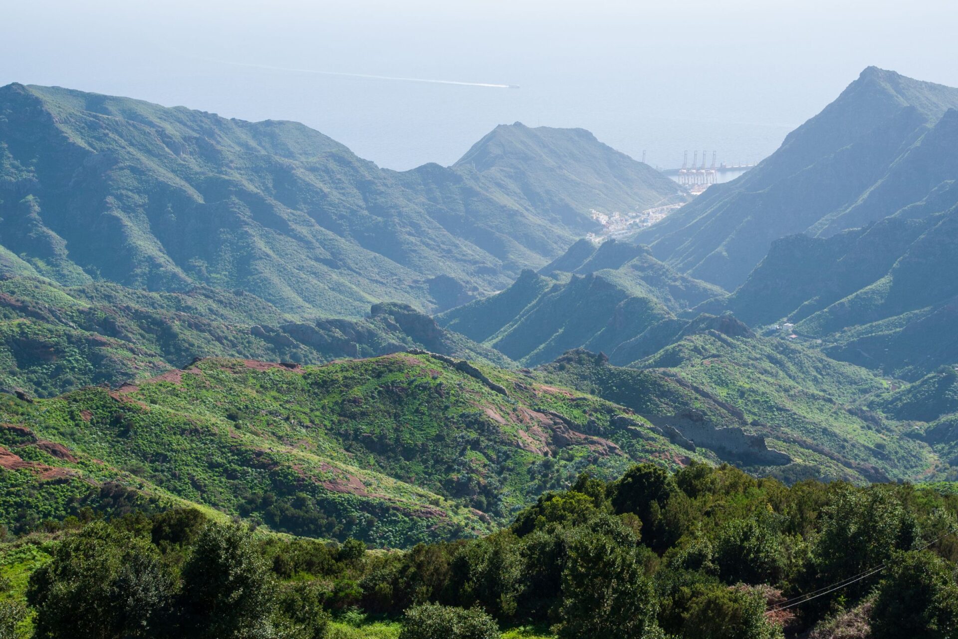 Anaga Mountains during summer