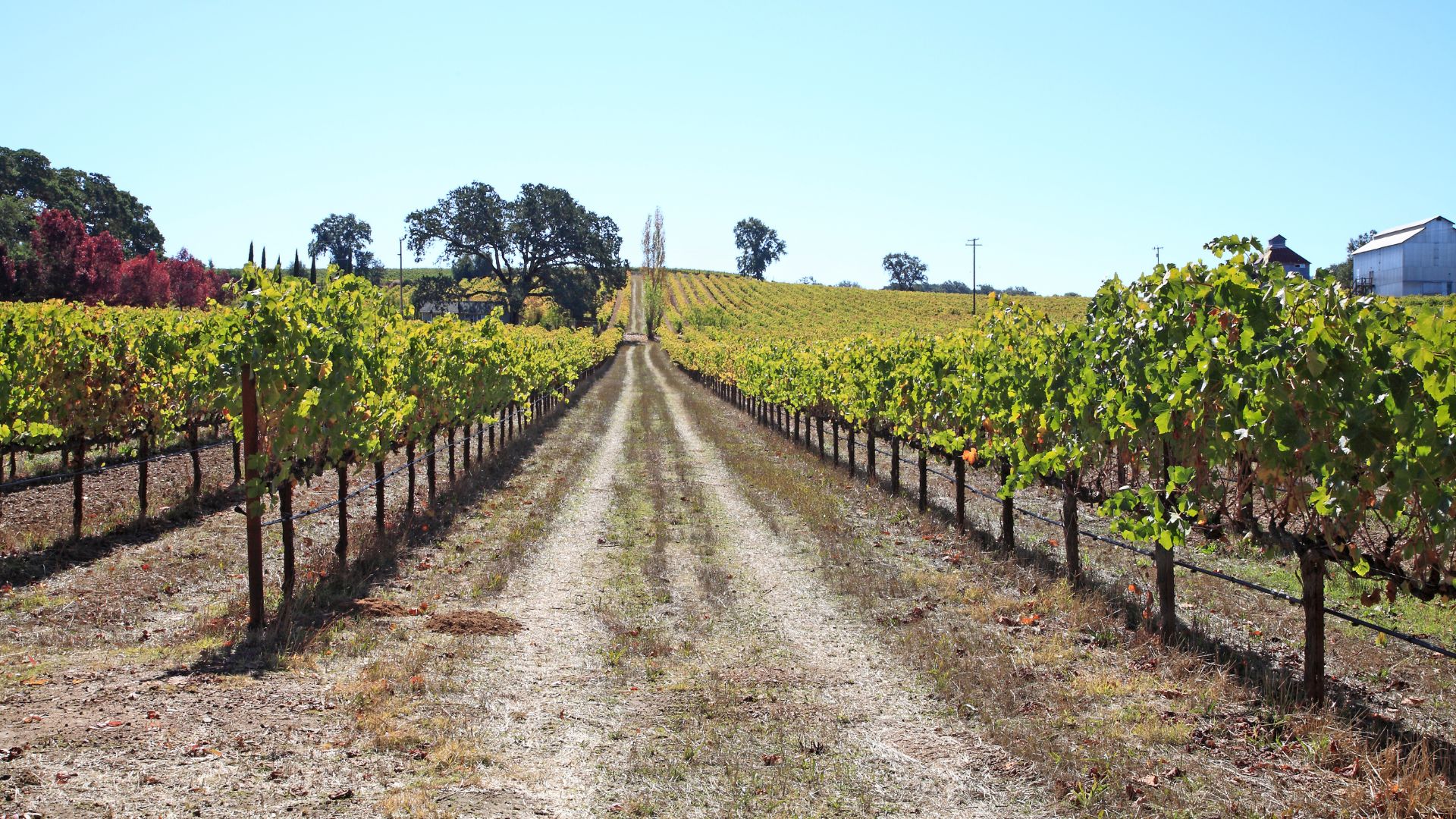 Anderson Valley, California