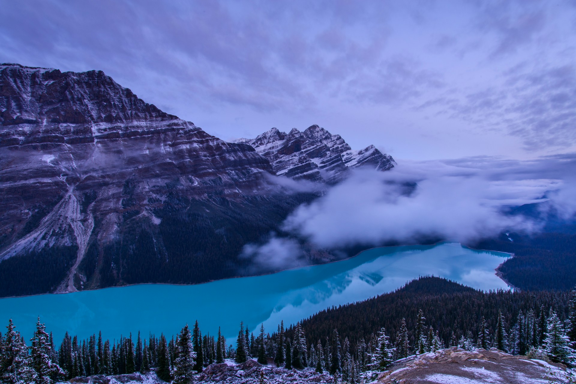 Snow-covered mountains and evergreen forests in Banff National Park during winter
