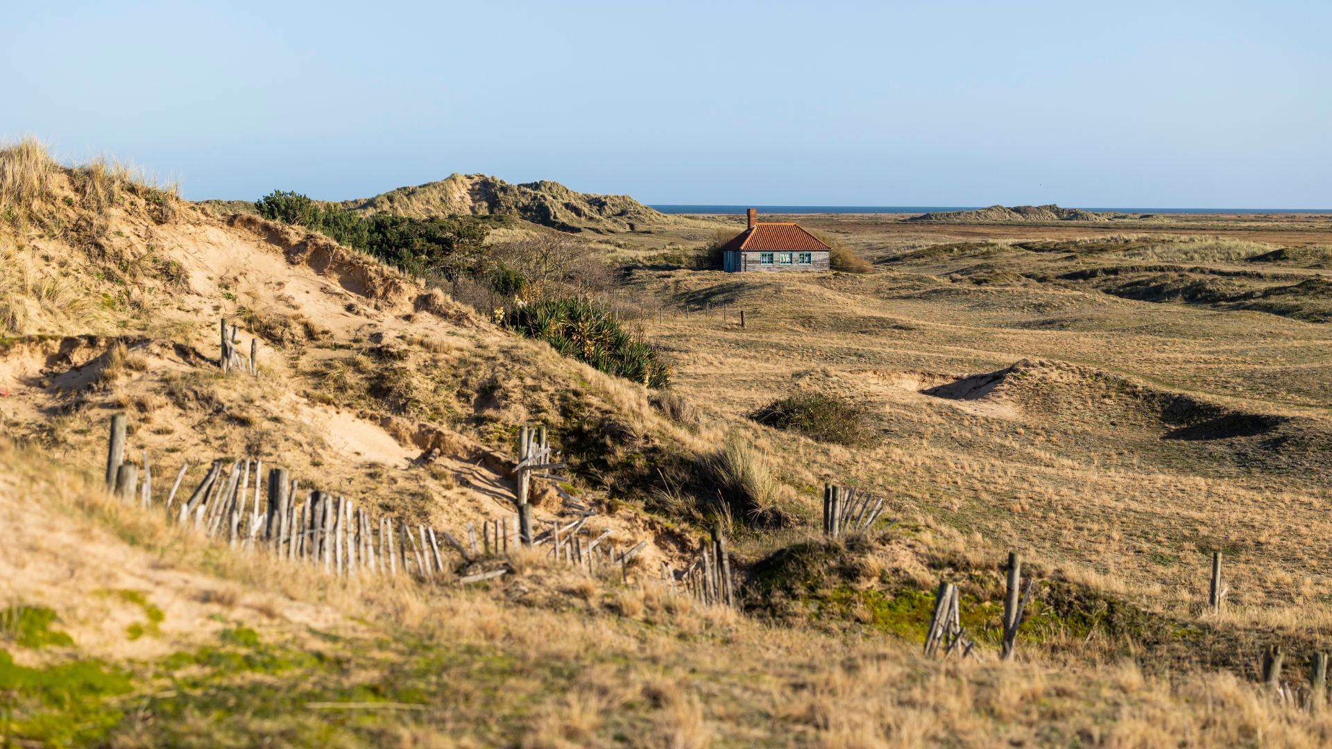 A small, red-roofed house sits nestled among expansive, golden sand dunes and dry grasses on a sunny day at Blakeney Point, with a glimpse of the sea in the distance. Wooden posts and fences are visible in the foreground, helping to stabilize the dunes.