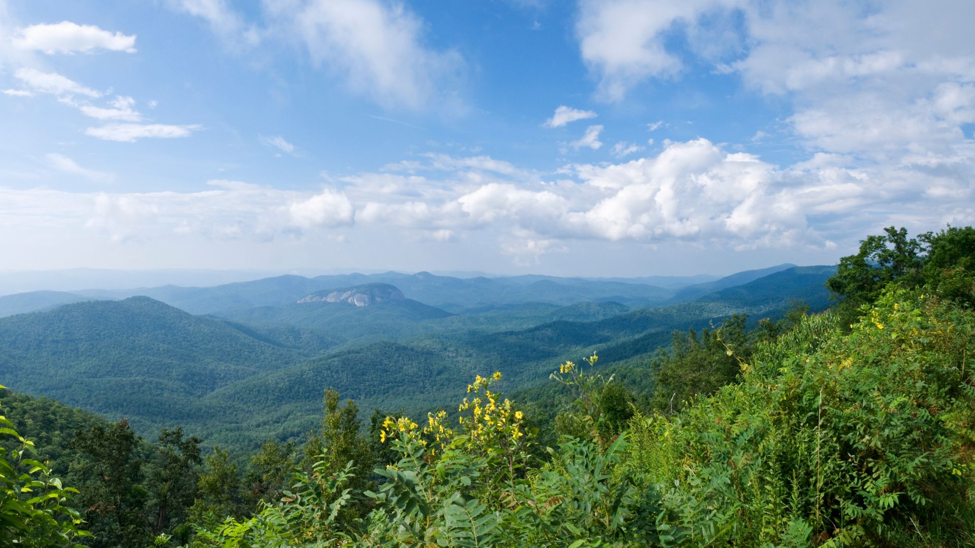 A panoramic view of rolling green mountains under a partly cloudy blue sky, with lush trees and yellow wildflowers in the foreground. 
