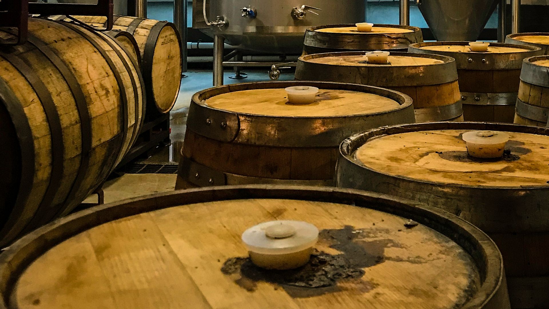 A brewery scene with numerous wooden barrels, likely bourbon barrels, in the foreground, some with bungs on top, indicating an aging or storage area.