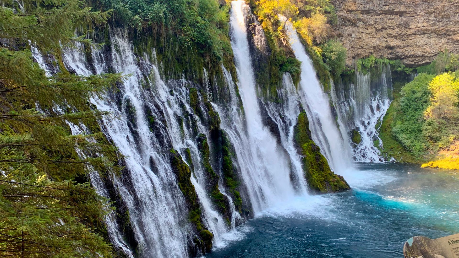 A wide view of Burney Falls in California, showcasing multiple streams of water cascading over a mossy, rocky cliff face into a clear blue pool at the base, surrounded by lush green foliage.
