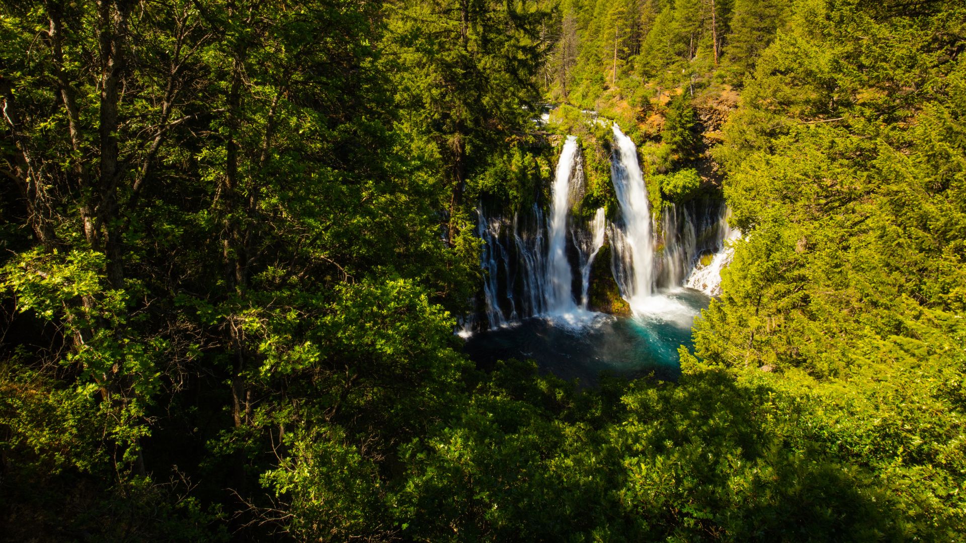 A vibrant aerial view of Burney Falls in California, showcasing a wide, powerful waterfall cascading into a turquoise pool, surrounded by lush green coniferous trees under bright sunlight.