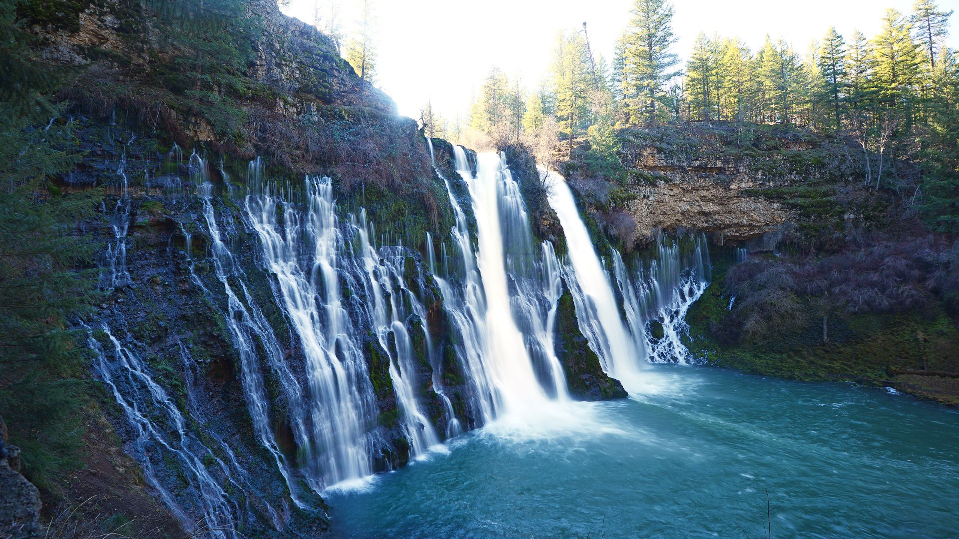 A wide-angle view of Burney Falls in California, showing multiple streams of water cascading down a rocky, green-covered cliff face into a clear blue pool at the base, surrounded by evergreen trees under a bright sky.