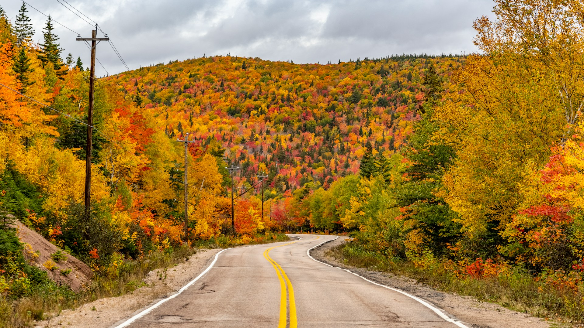 Winding road of the Cabot Trail