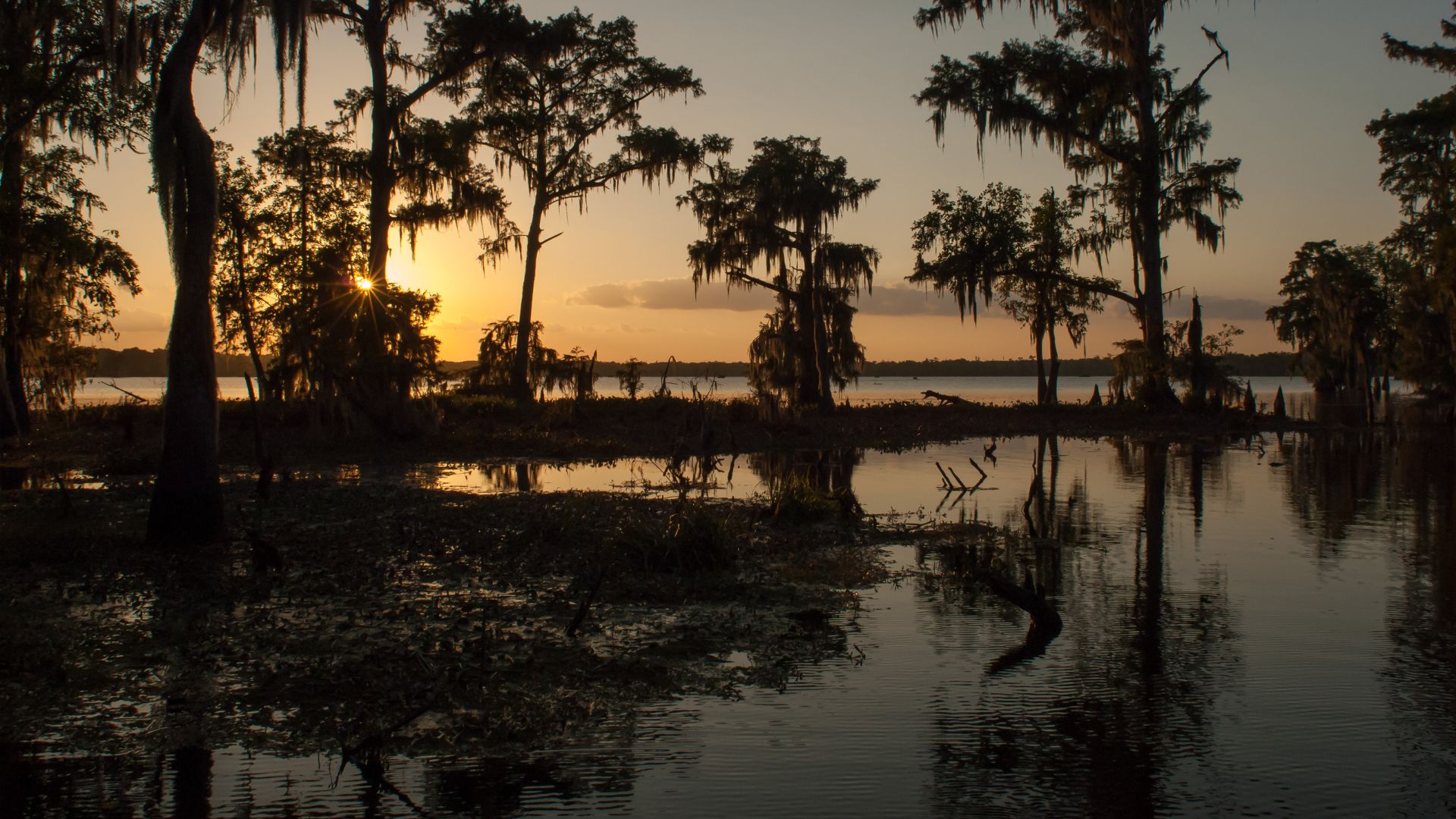 A serene sunset over a swampy lake, with dark silhouettes of cypress trees draped in Spanish moss reflecting in the still water, under a warm, glowing sky.