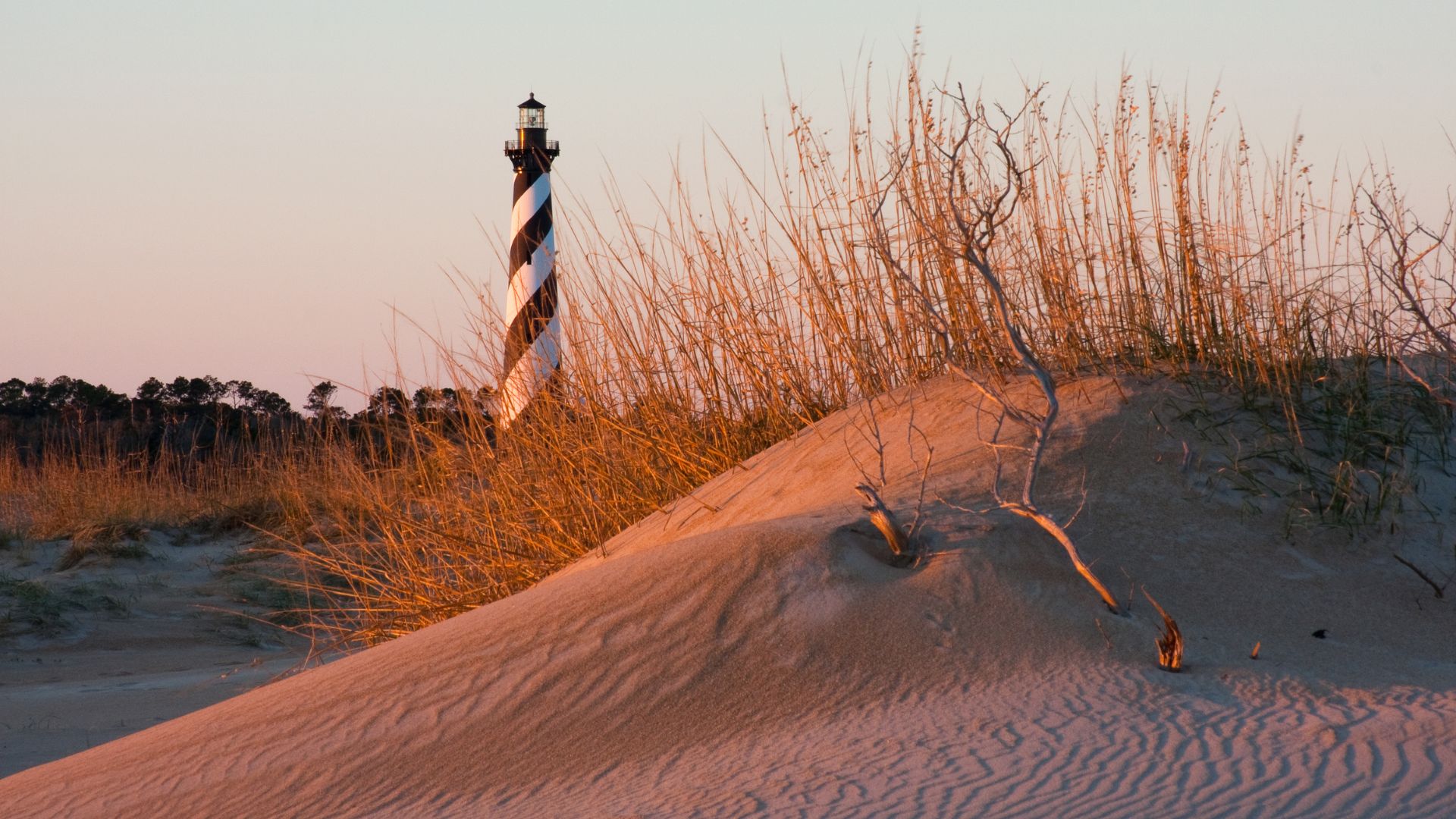 A black and white striped lighthouse stands tall against a soft, pastel sky at sunset, behind a sandy dune covered with tall, dry grasses and bare branches, with a sandy beach in the foreground.