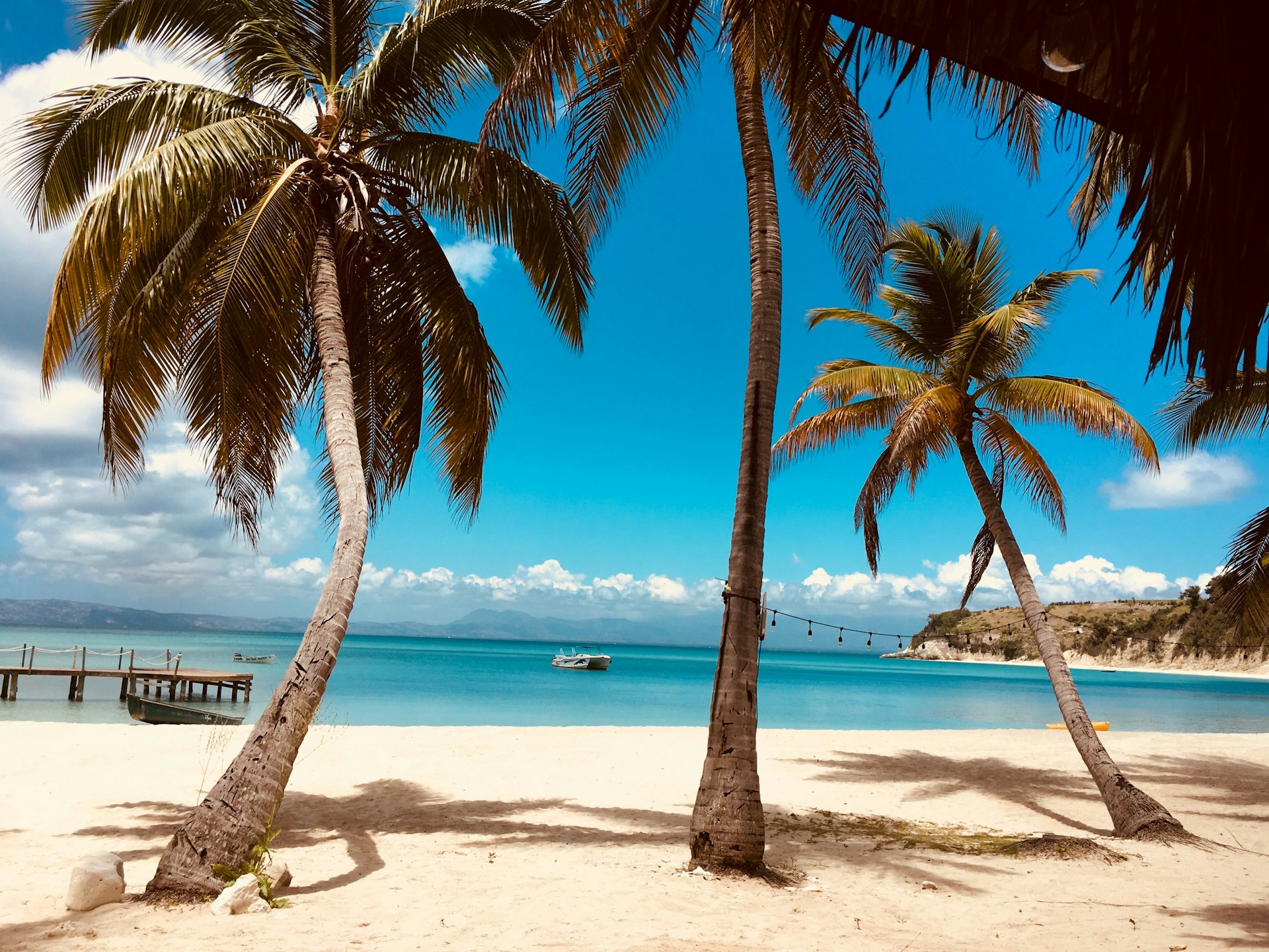 Idyllic Caribbean beach with soft white sand, crystal-clear turquoise water, and gently swaying palm trees.