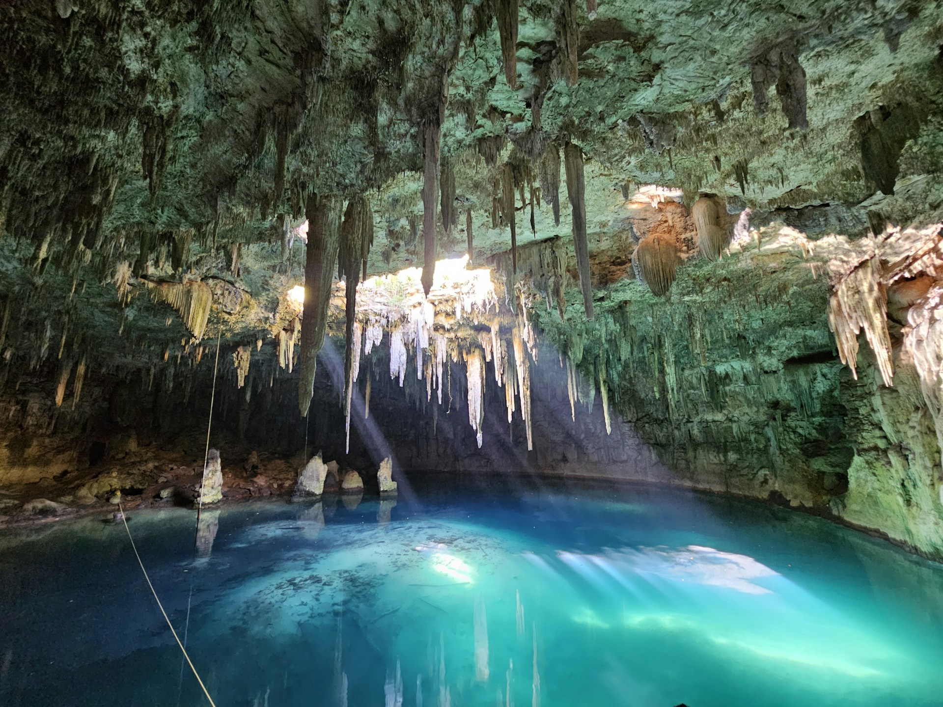 Various cenotes in the Yucatán surrounded by lush vegetation and rocky limestone formations, featuring crystal-clear blue water and natural cave openings.